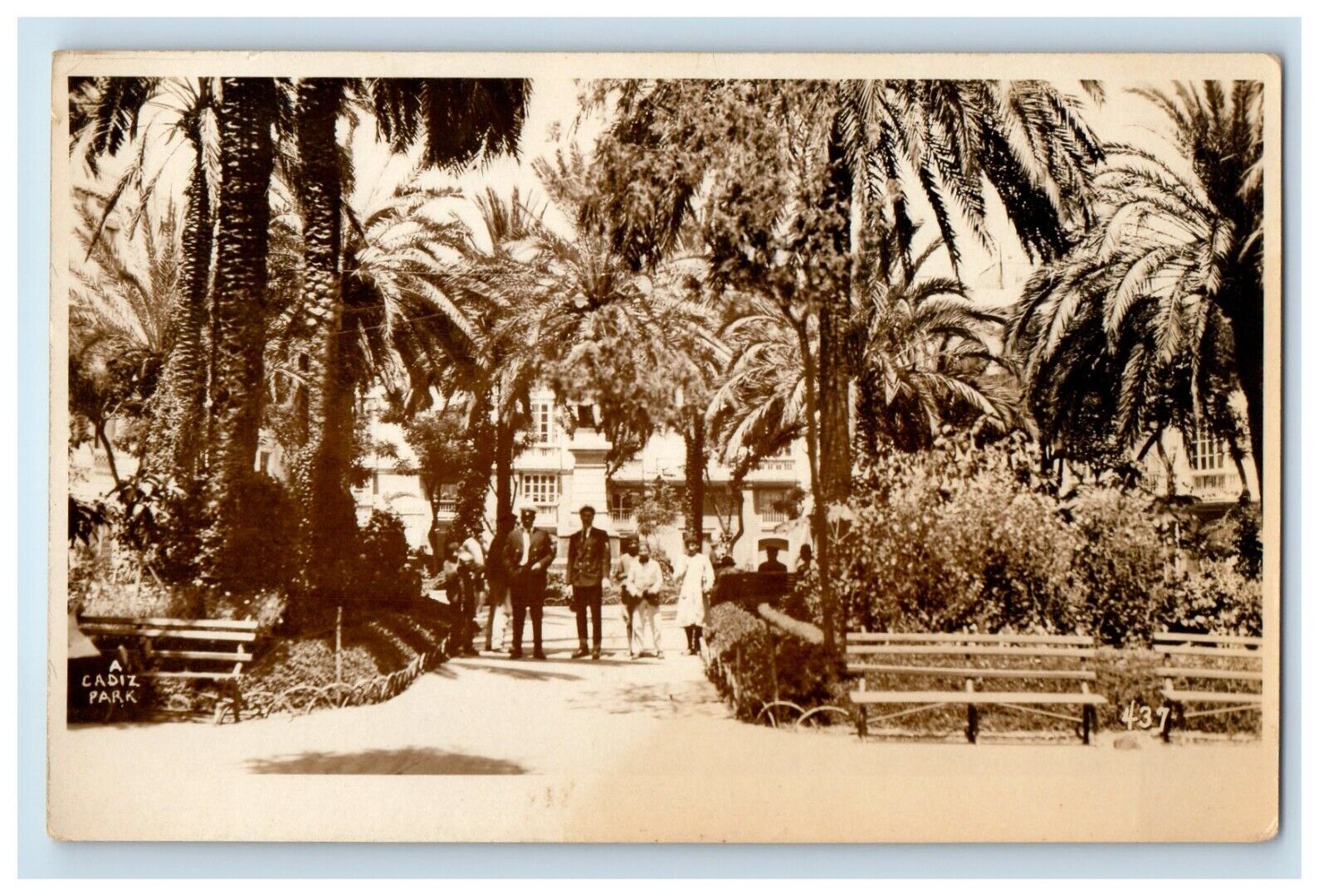 c1920's A View Of Cadiz Spain Park RPPC Photo Unposted Antique Postcard
