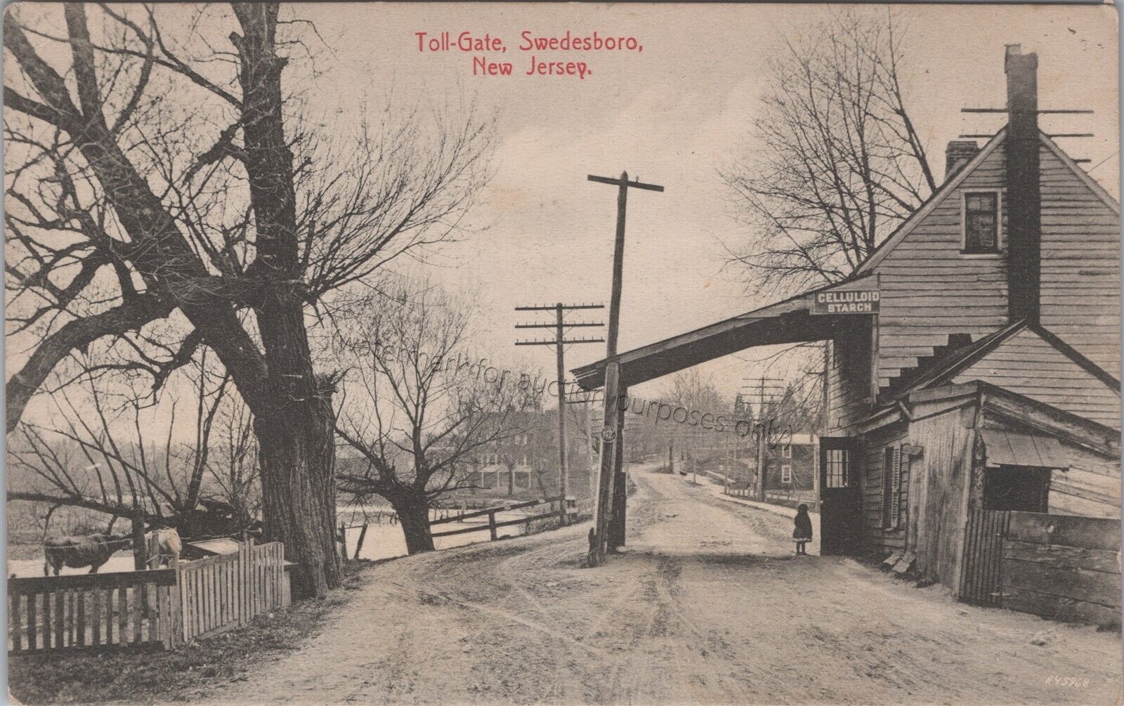 Swedesboro, NJ: 1907 Toll-Gate - Vintage Gloucester County New Jersey Postcard