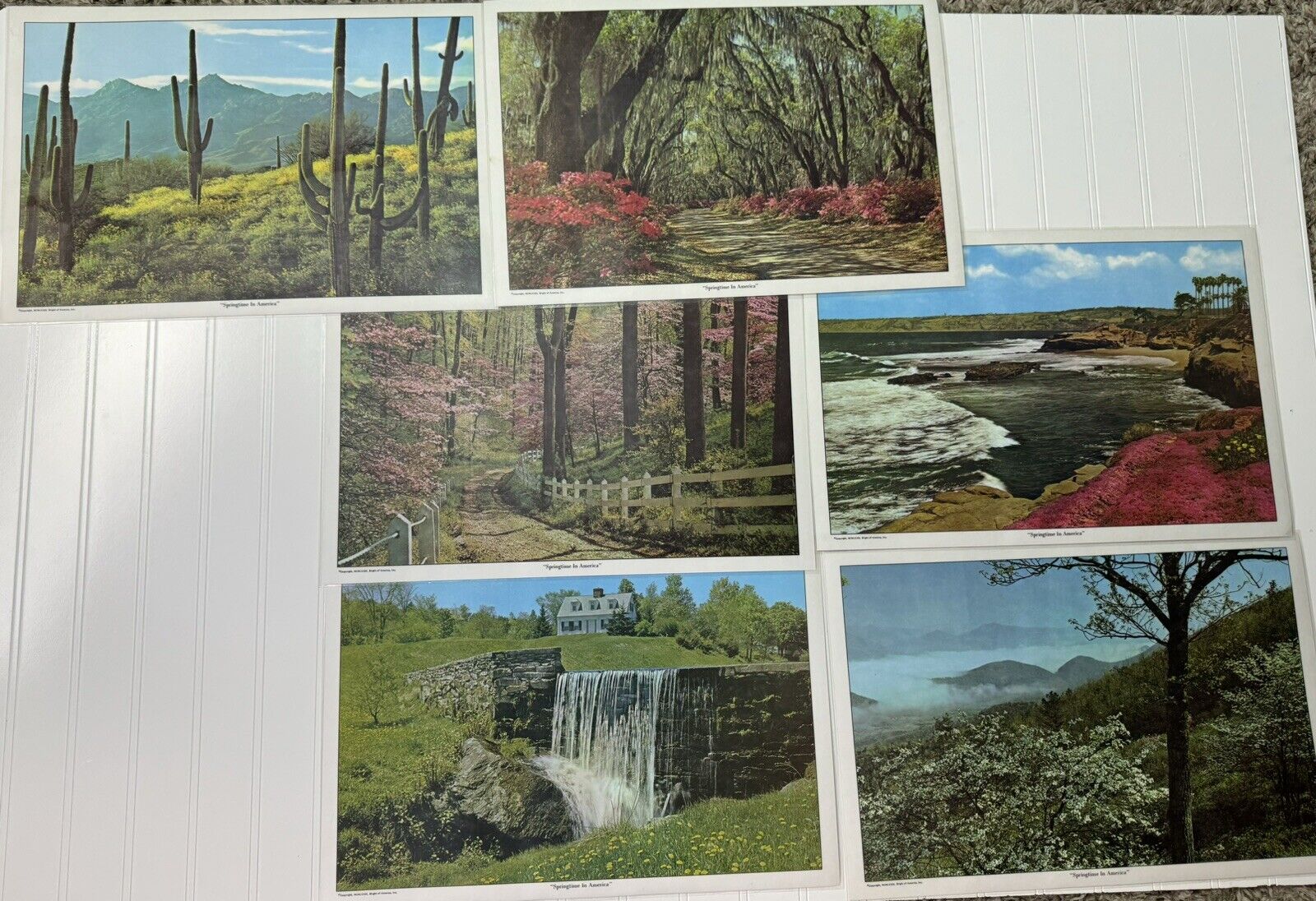 Bright of America Outdoor Nature Landscape Scene Color Photo Placemats Vintage