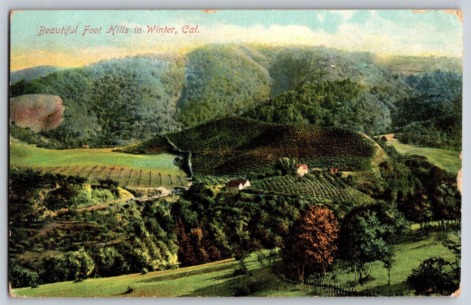 California CA - Beautiful Foot Hills In Winter California - Vintage Postcard