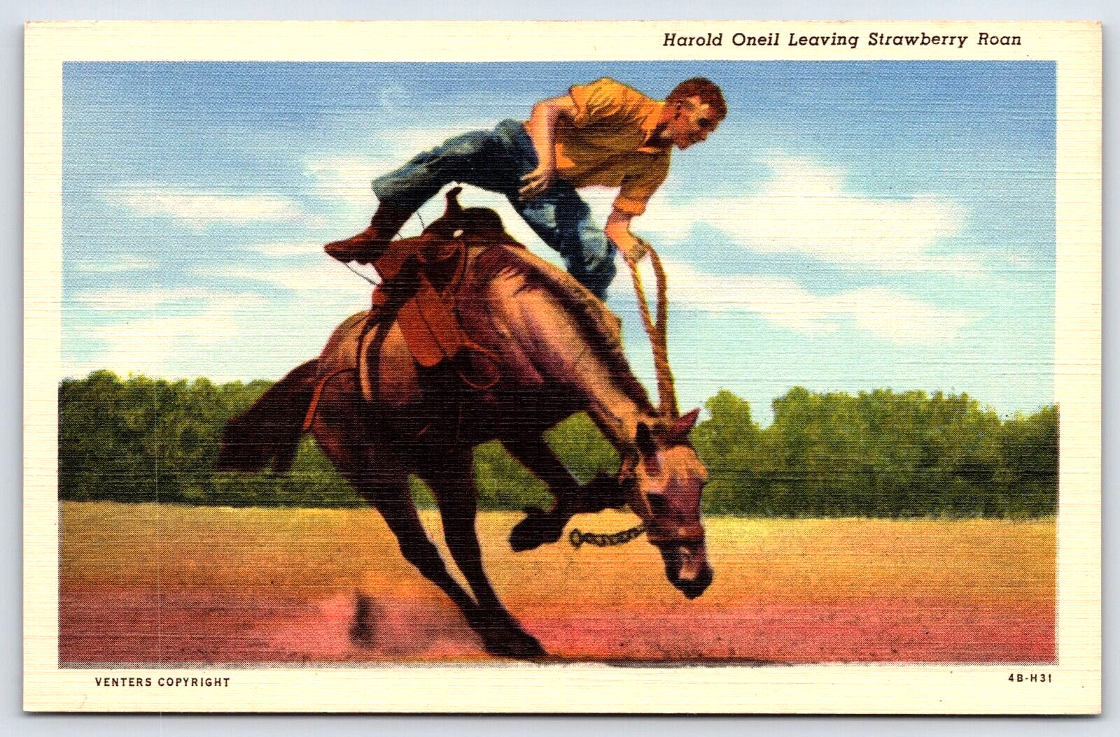 Postcard Southwest Rodeo Bucking Red Roan Bronc Horse Throws Howard Oneil A19