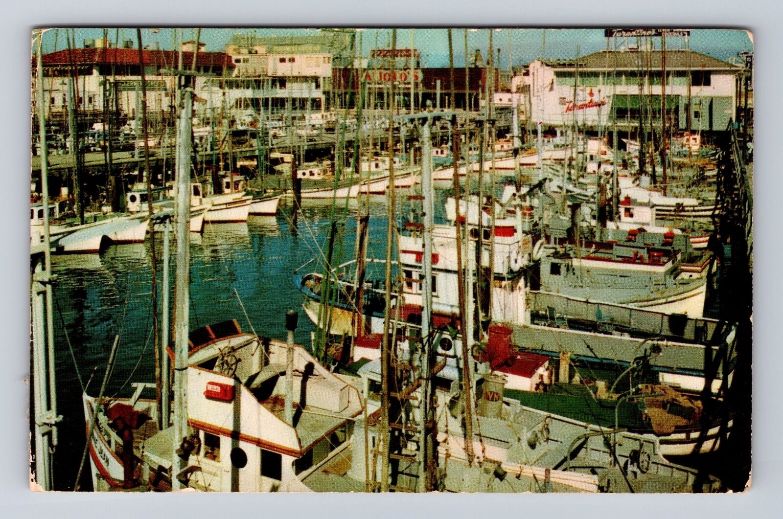 San Francisco CA-California, Fishing Fleet, Antique, Vintage c1956 Postcard