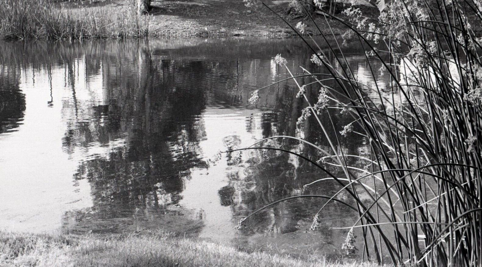 Pond Original 35 mm Monochrome Negative  Kodak 5063 Film