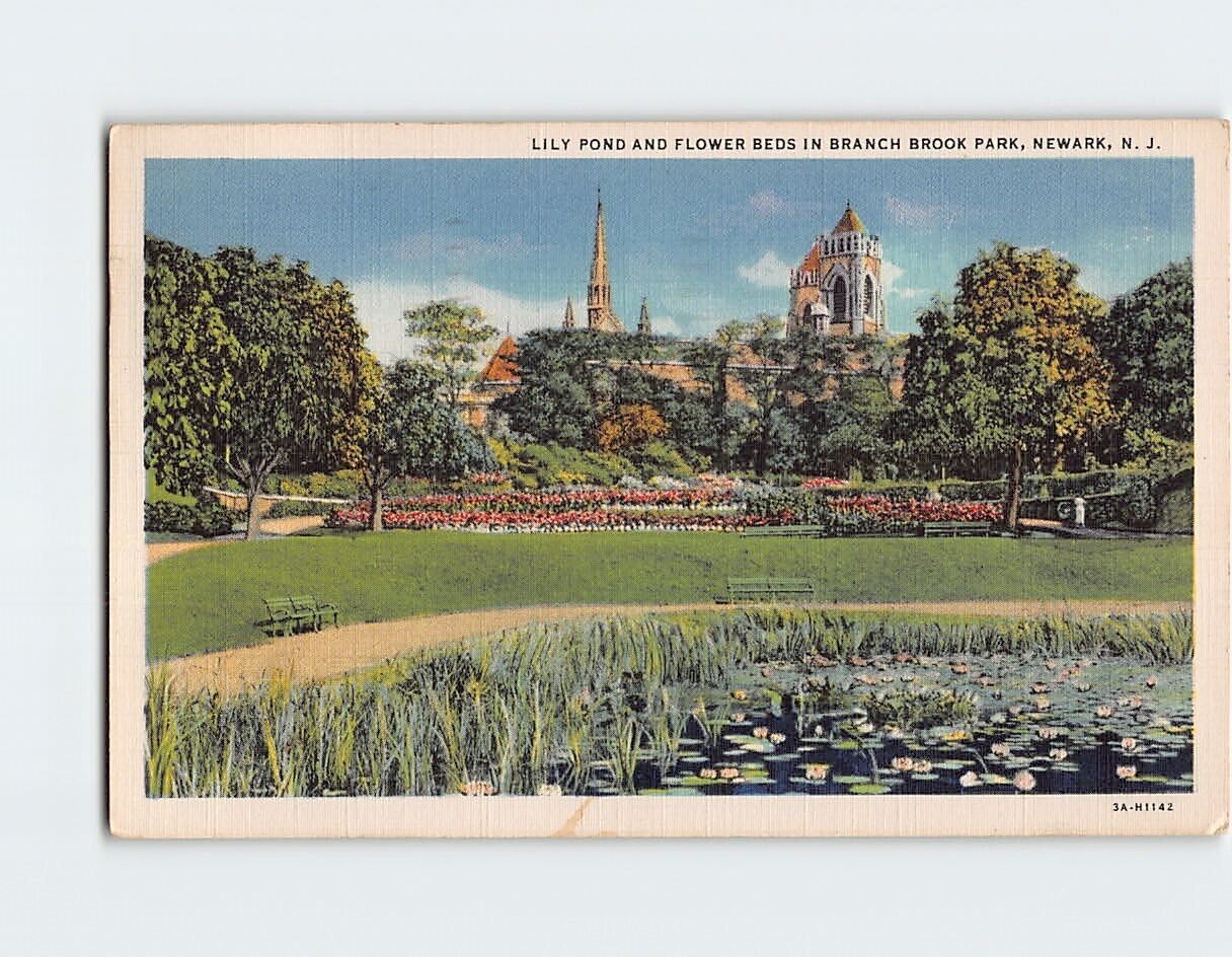 Postcard Lily Pond & Flower Beds Branch Brook Park Newark New Jersey USA