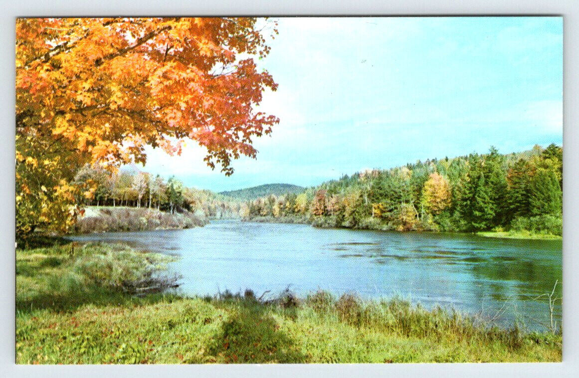 13 Mile Woods and Androscoggin River New Hampshire Vintage Postcard BRL4