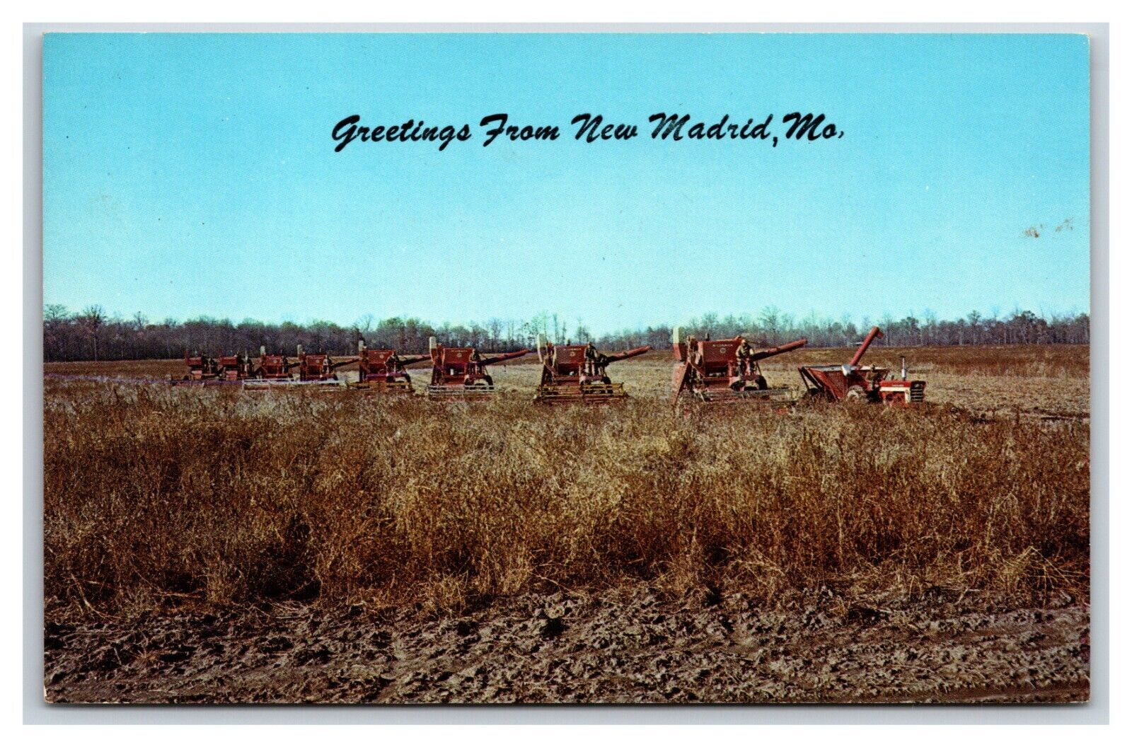 Soy Bean Harvest Greetings From New Madrid Missouri MO UNP Chrome Postcard R28