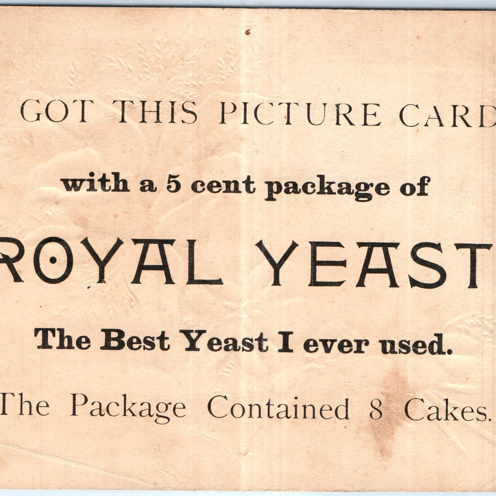c1880s Royal Yeast 5 cent Large Trade Picture Card Snow House Flower Embossed 5N