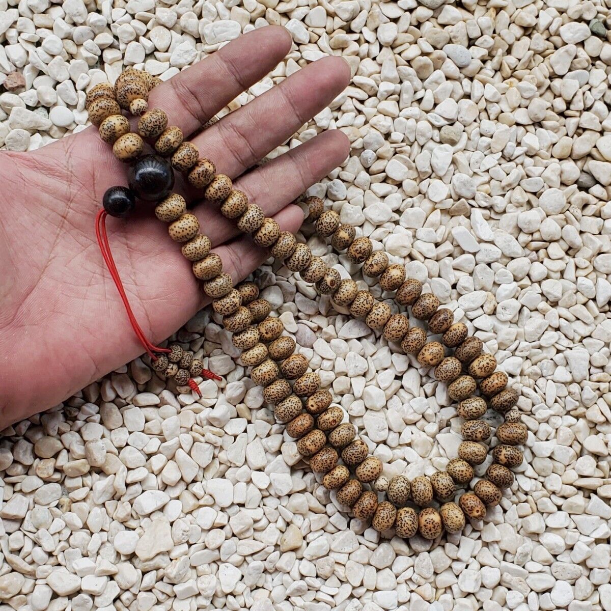 108 Beads Genuine Star & Moon Bodhi Seed Mala Indonesian Rosewood Prayer Beads