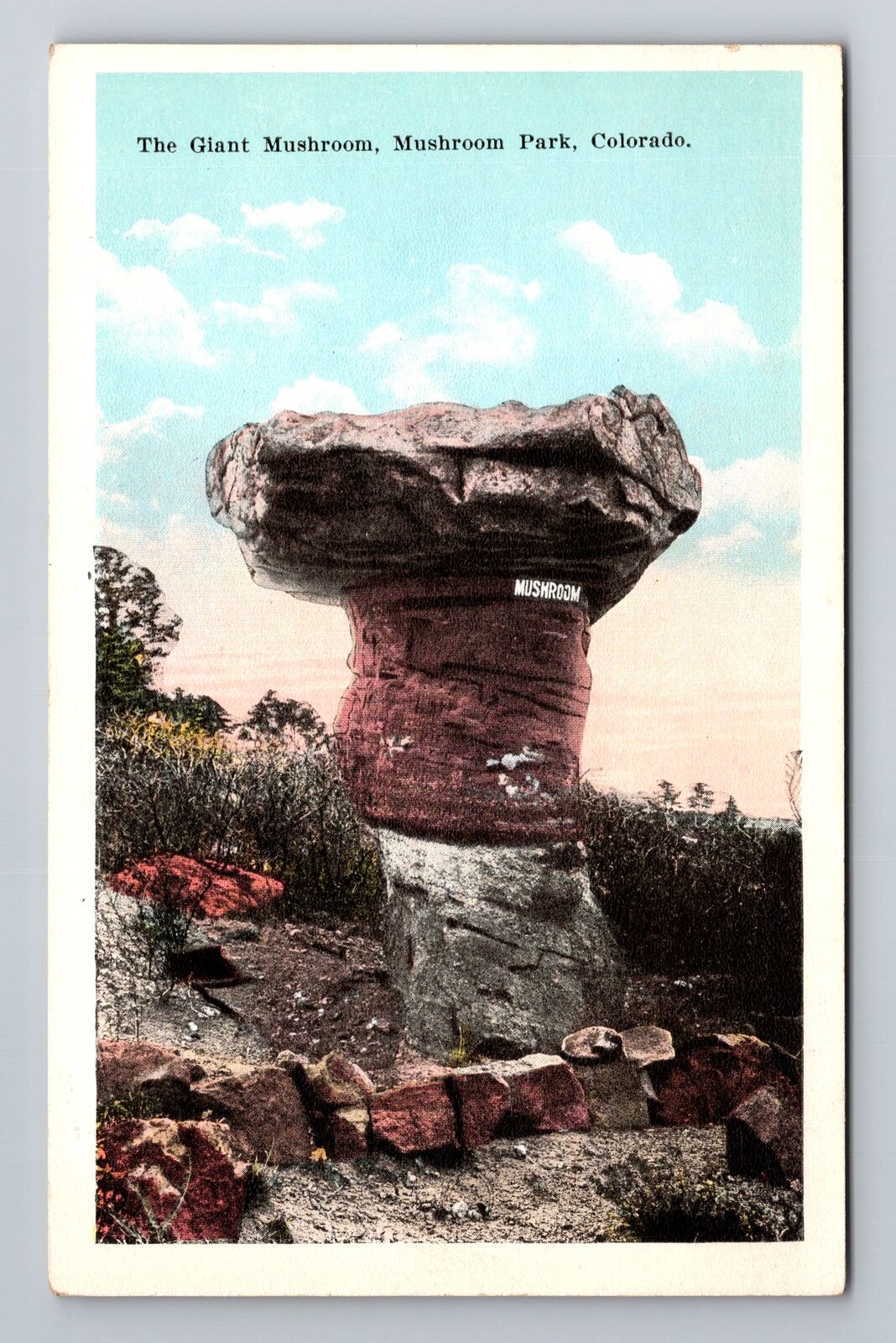 Mushroom Park CO-Colorado, The Giant Mushroom, Antique Souvenir Vintage Postcard