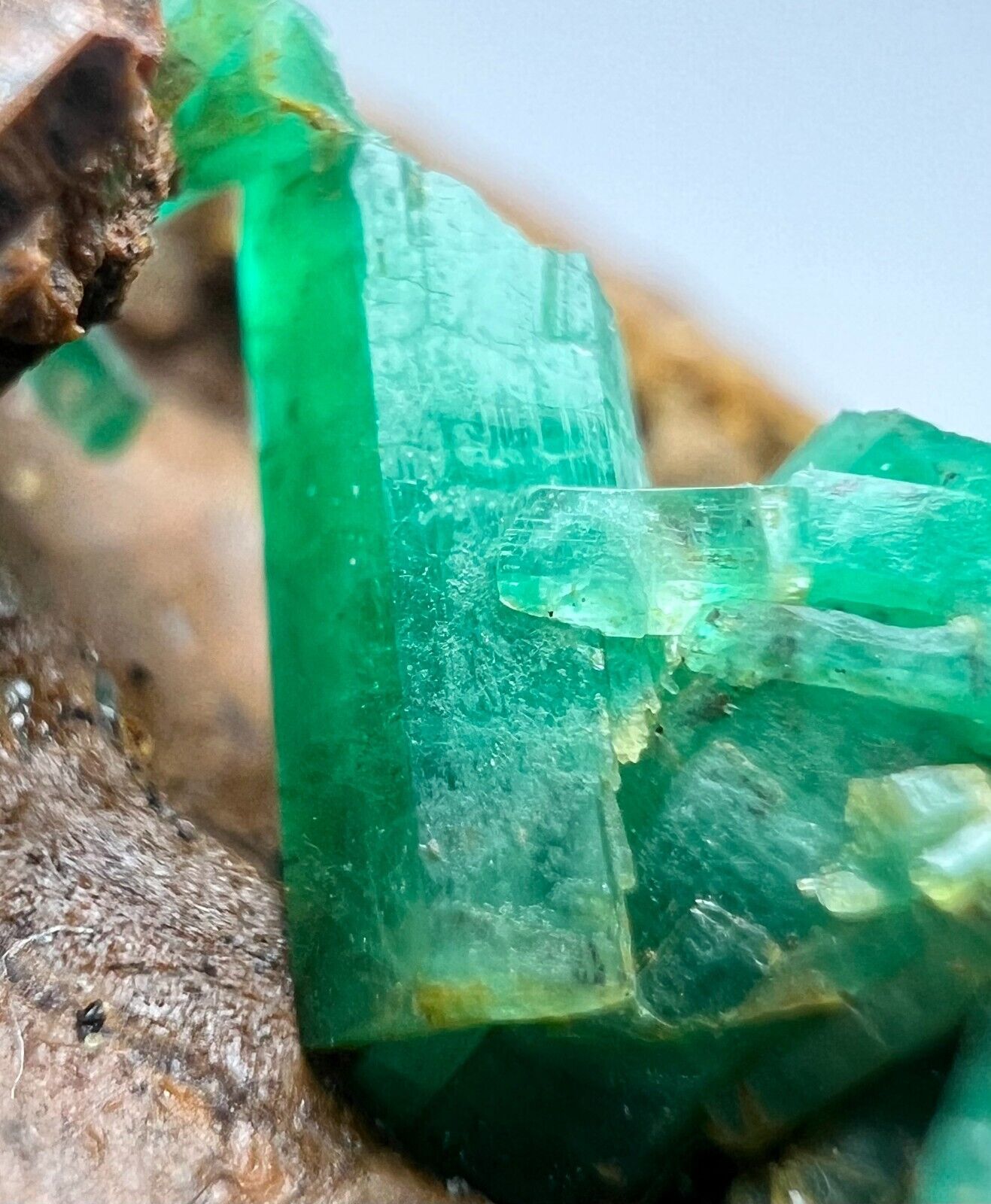 475 CT Well Terminated Panjsher Top Green Emerald Crystals Bunch On Matrix @AFG