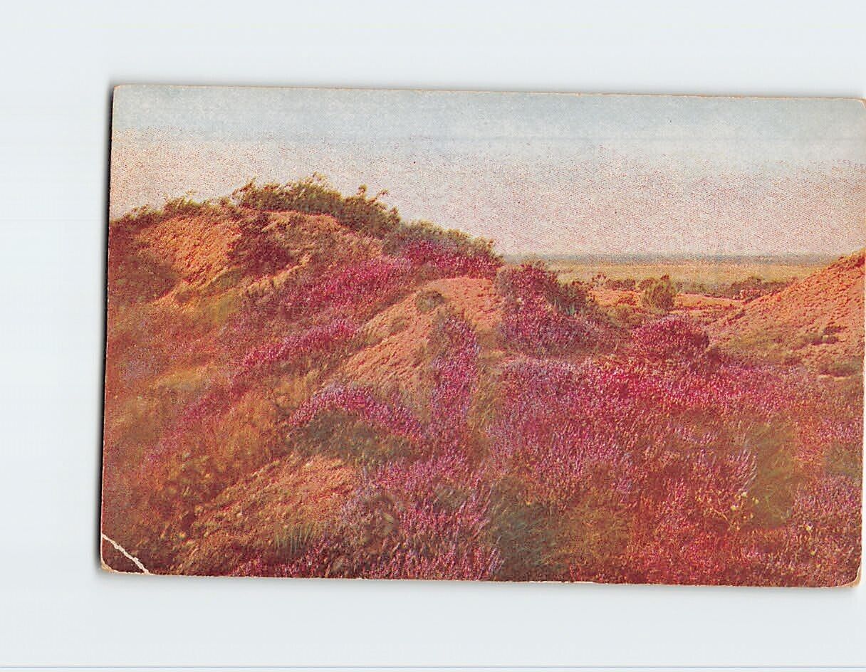 Postcard Beautiful Landscape