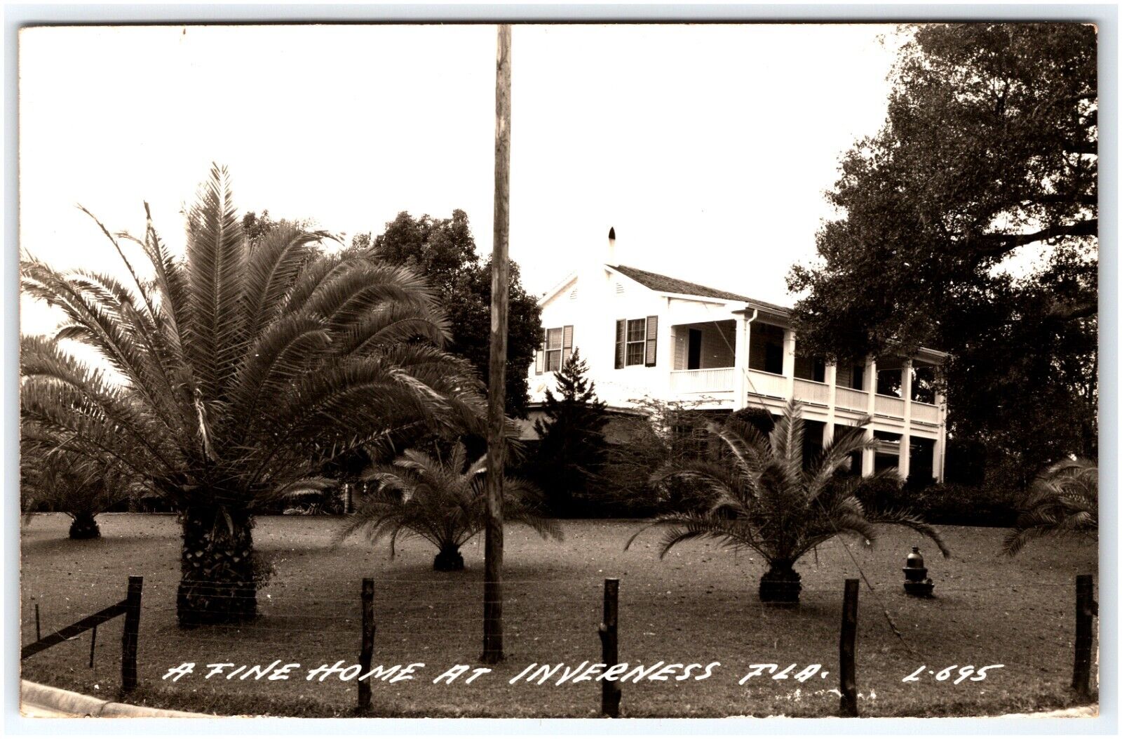 RPPC A FINE HOME AT INVERNESS FLORIDA PALM TREES POSTCARD