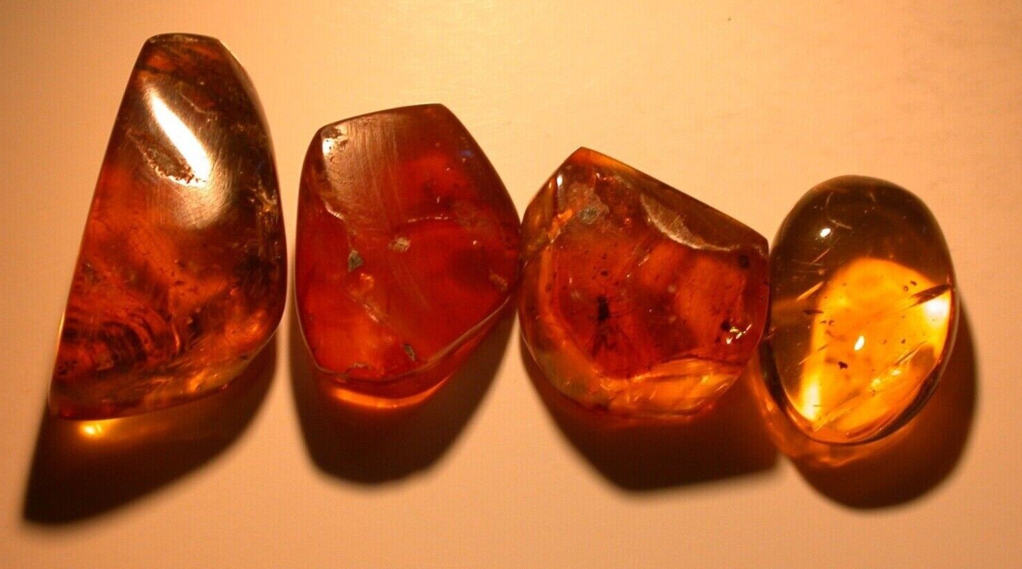 4 Dominican Amber Fossils with Chironomid, Winged Ant, Nymph, Fungus Gnat, 8.9 g