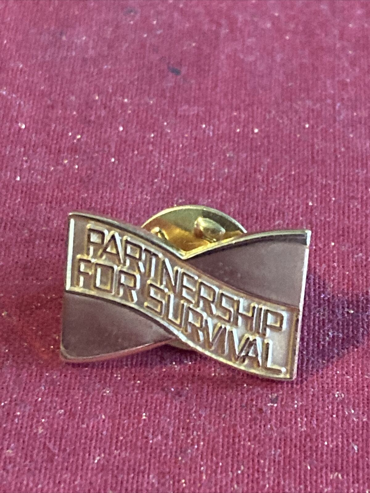 Partnership For Survival Pin