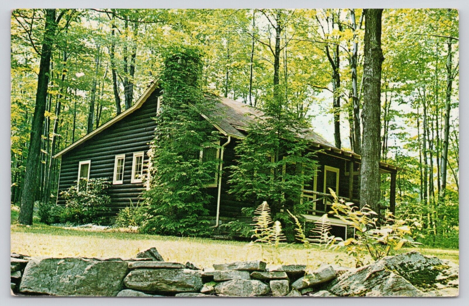 Postcard Canadensis Pennsylvania Spruce Lake Retreat Posted 1967