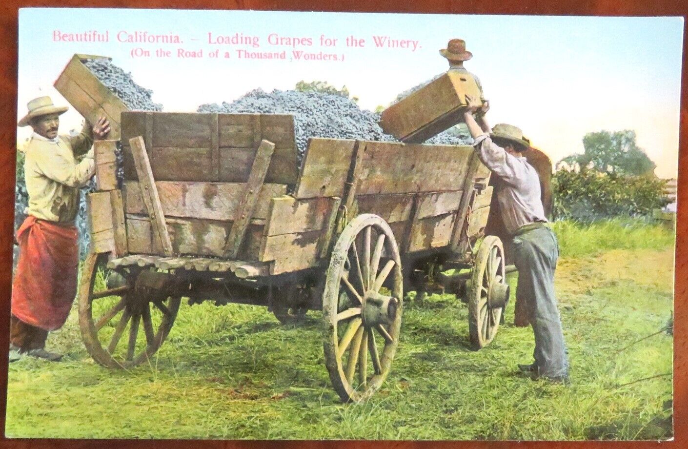 1910 VINTAGE POSTCARD LOADING GRAPES FOR THE WINERY POSTED LOLETA CA FARMING