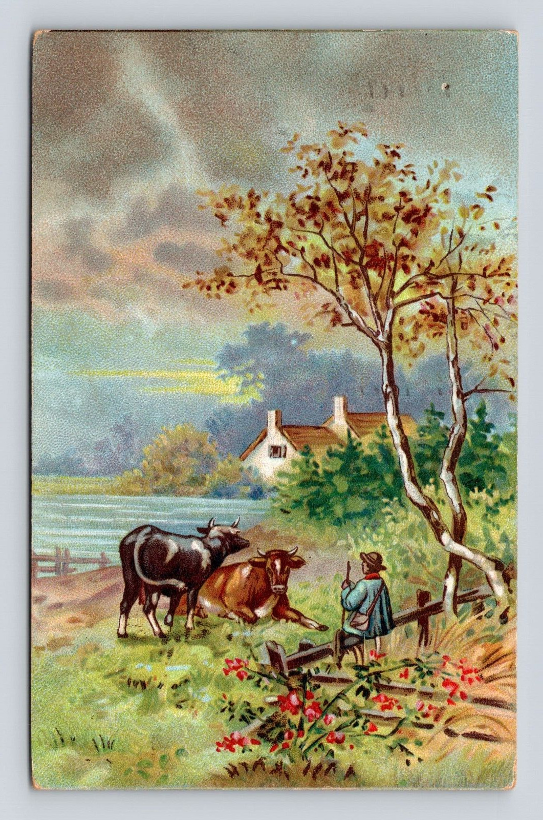 Antique Postcard Cows Farmer Pond Buffalo New York NY 1908 Cancel