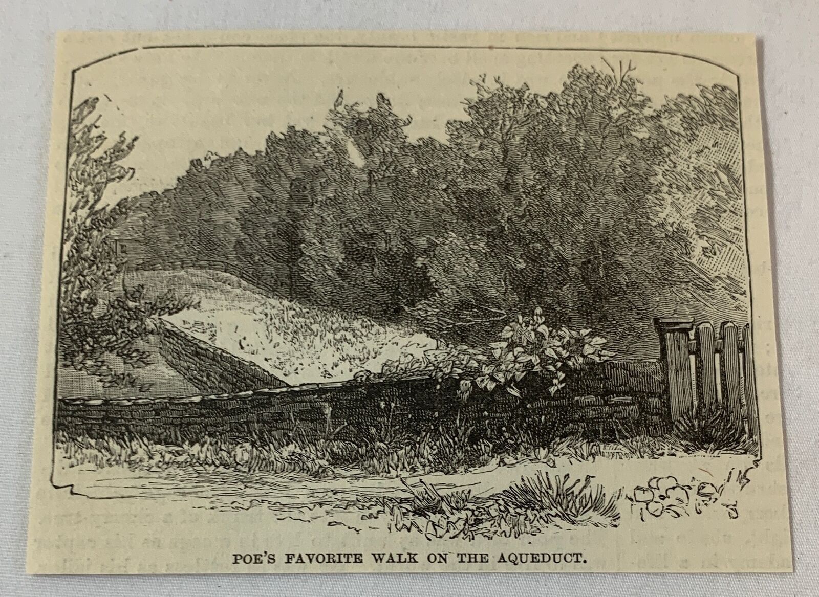 1883 magazine engraving ~ EDGAR ALLAN POE\'S FAVORITE WALK Fordham, New York