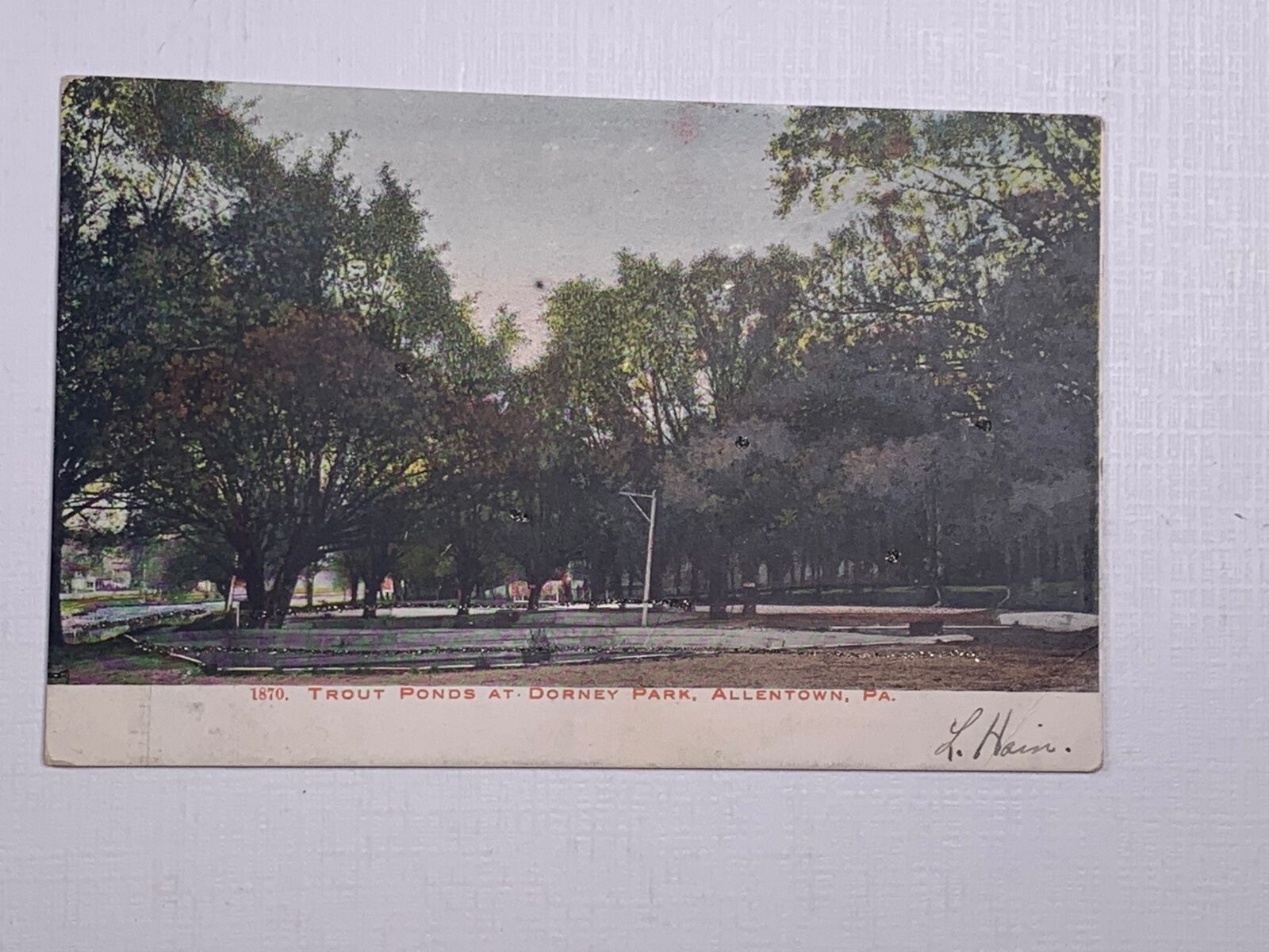 Postcard Trout Ponds at Dorney Park Allentown PA 1905