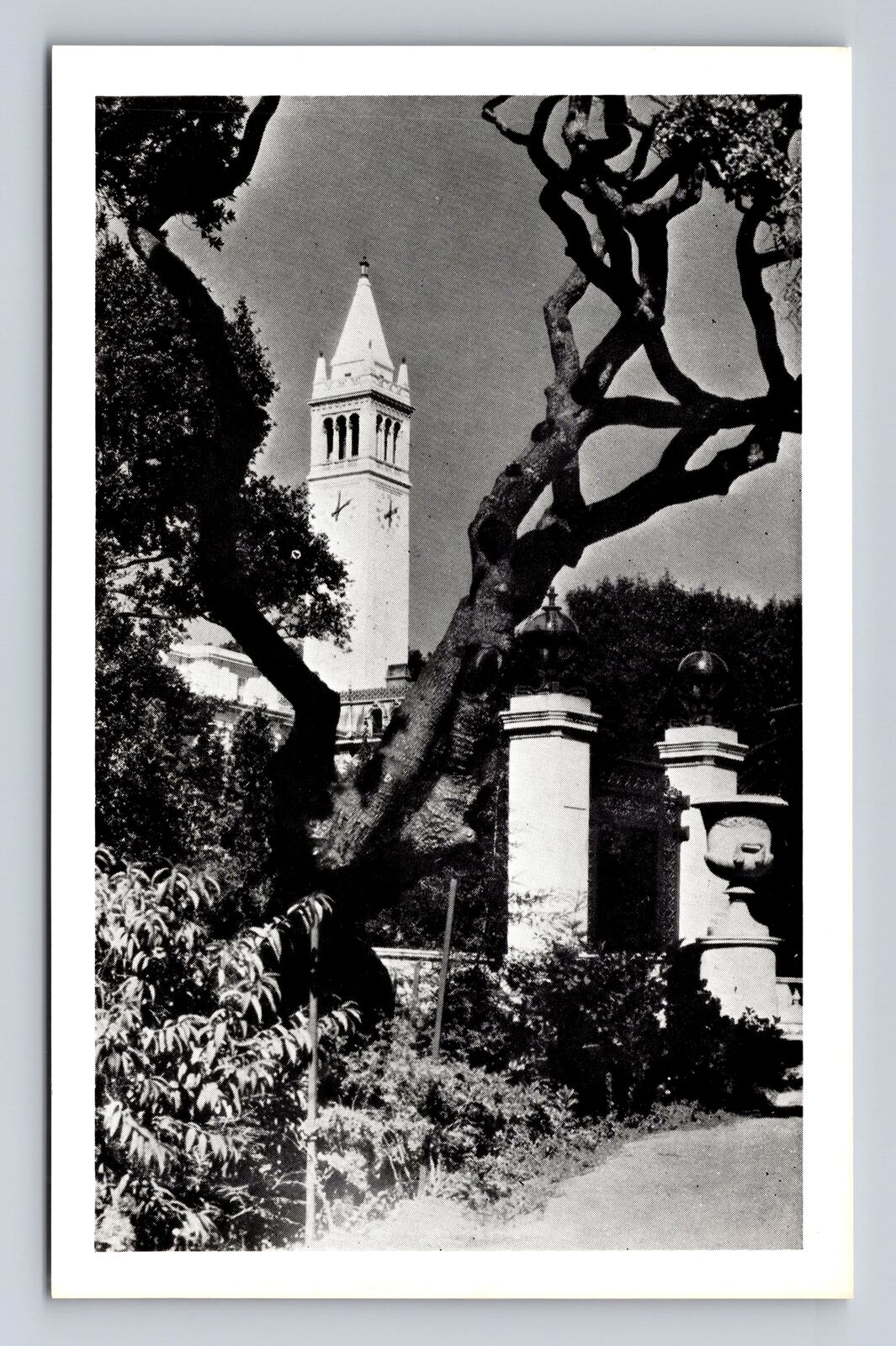 Berkeley CA-California, University of California, Sather Gate Vintage Postcard