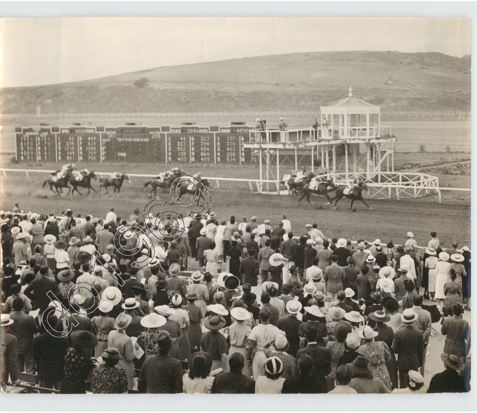 HORSES Are Off @ HORSE RACE. 1950s VTG Press Photo Sports PIX