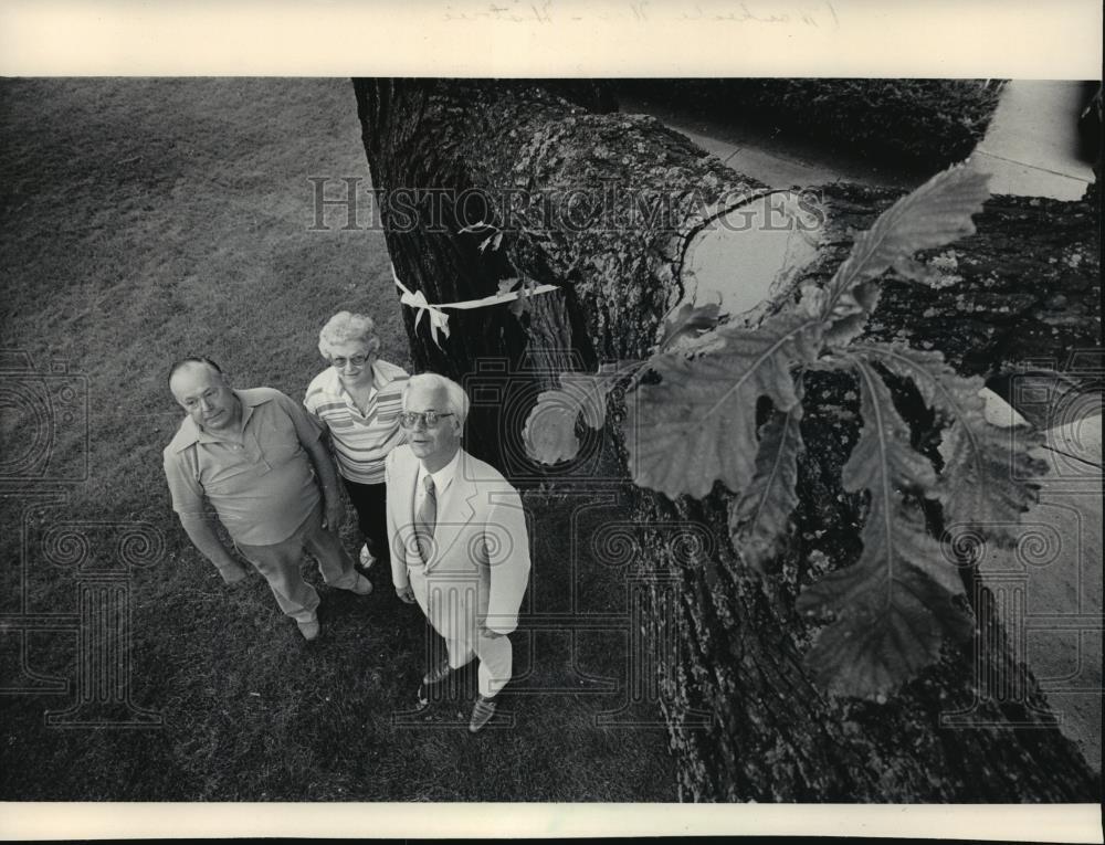 1984 Press Photo  150 yr old bur oak- Waukesha\'s official sesquicentennial tree