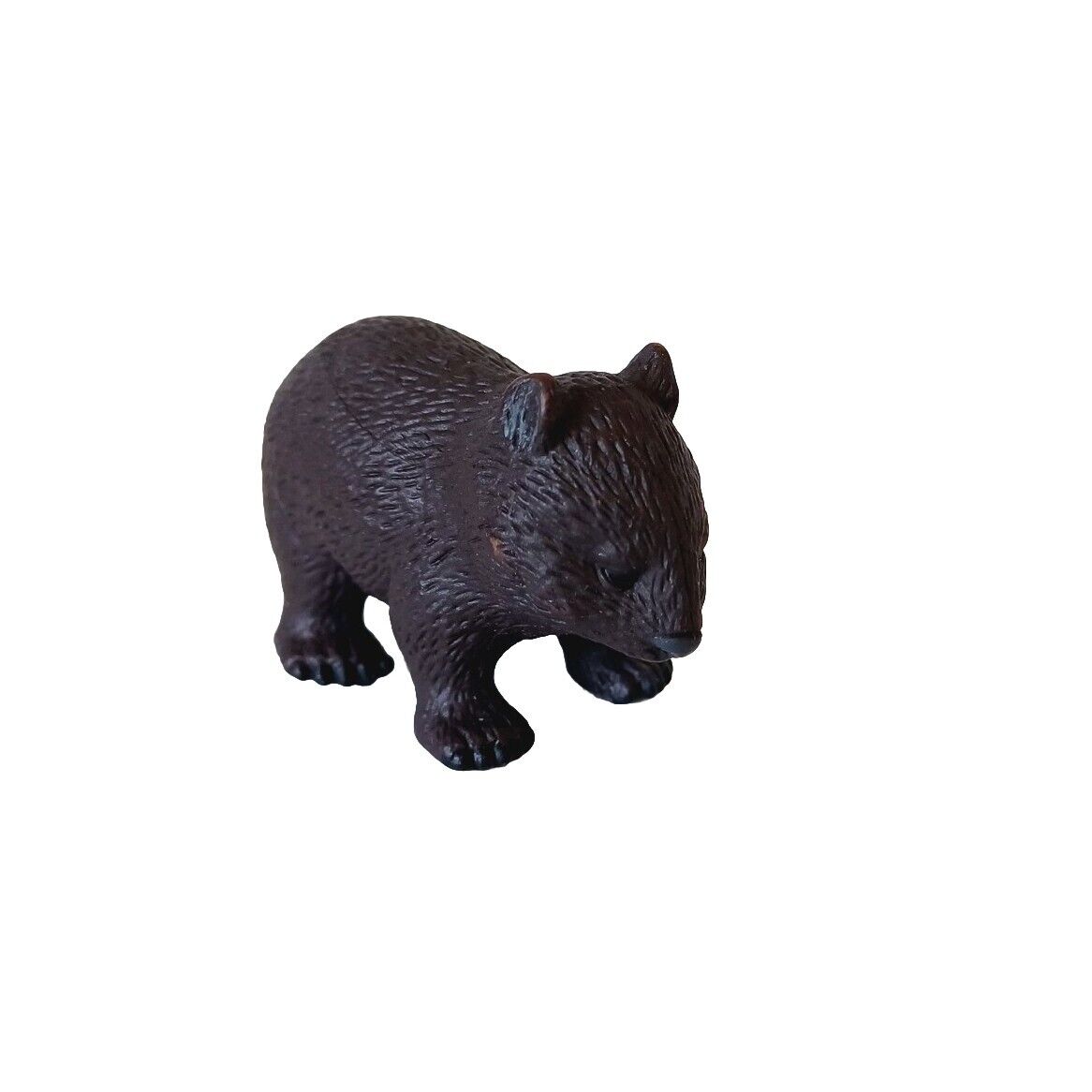 Science & Nature Australian Wombat Small - Toy Model