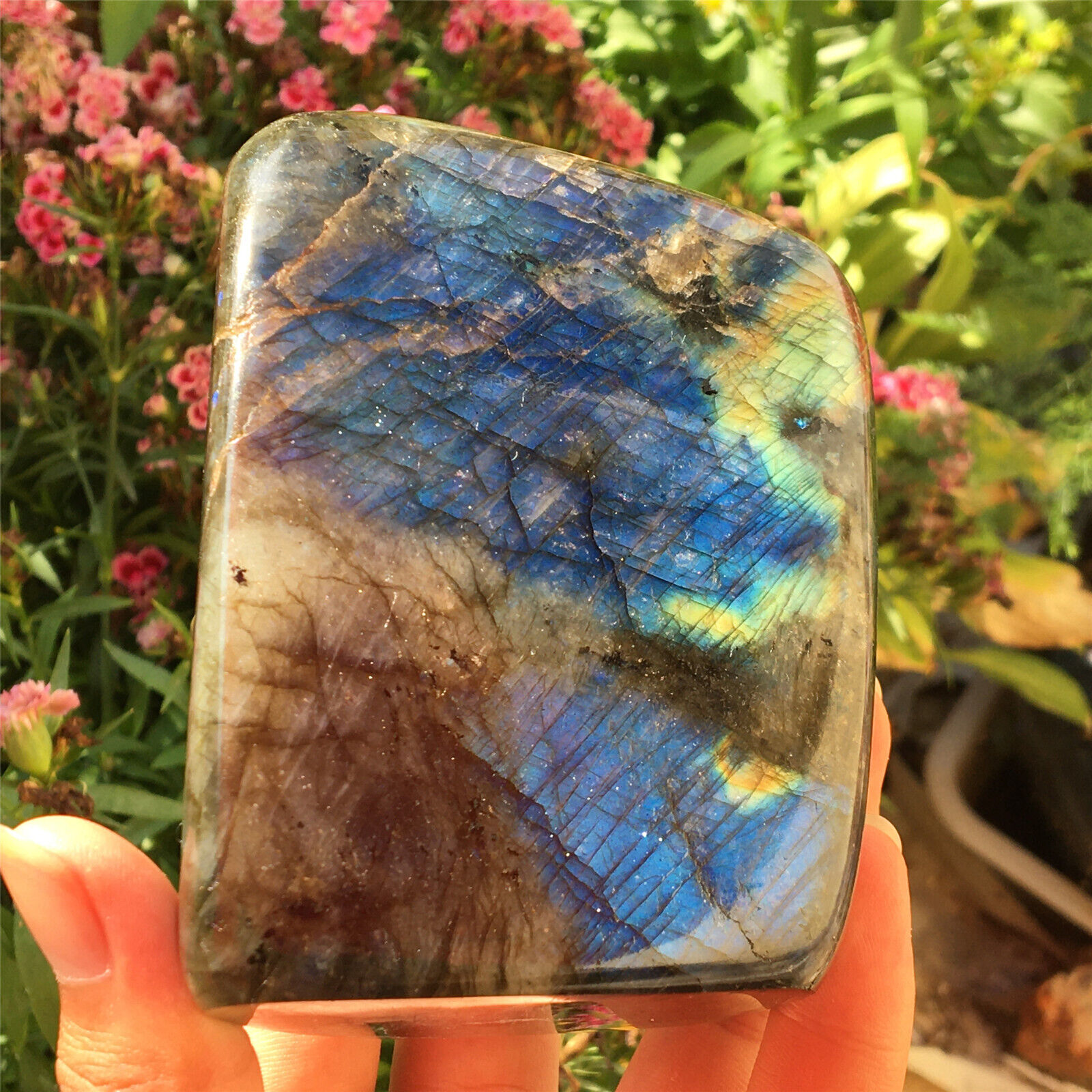 2.2LB Natural labradorite quartz crystal polished stone specimen healing XL1747