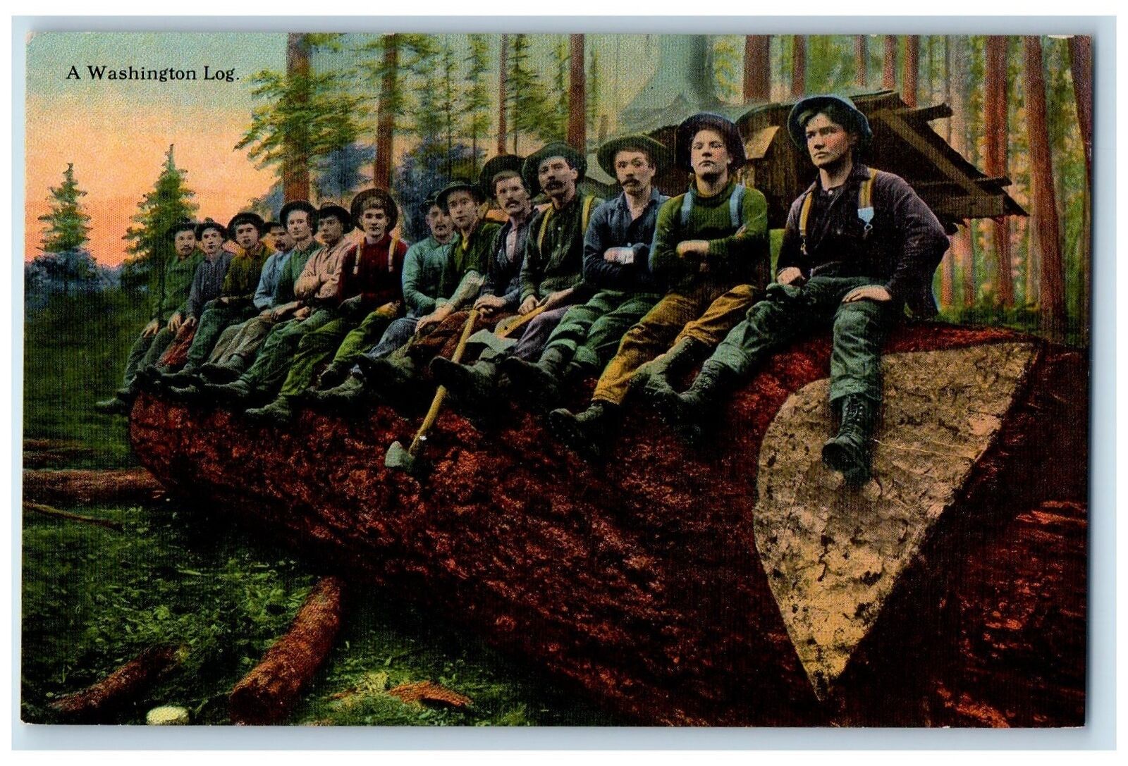 c1920s A Washington Log Scene Loggers Washington WA Unposted Vintage Postcard
