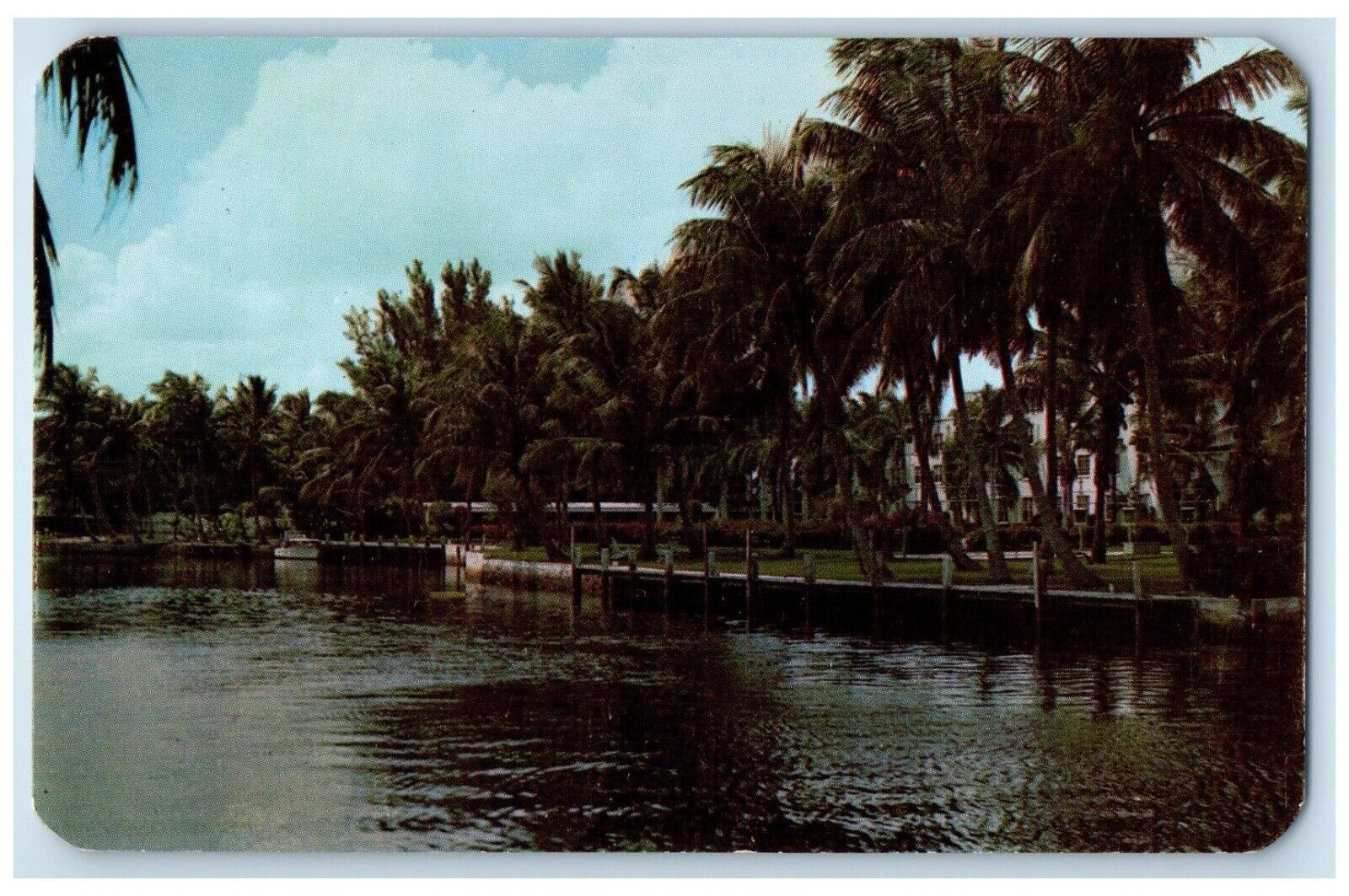 c1960 Riverside Hotel Pine Trees New River Fort Lauderdale Florida FL Postcard