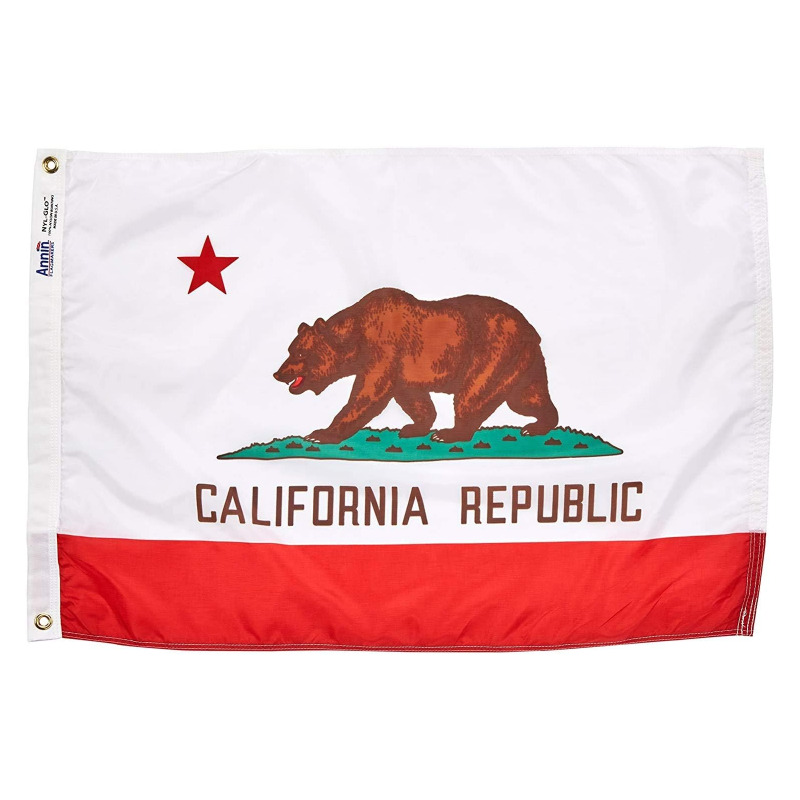 California State Flag 2x3FT Official State Design USA-Made by Annin Flagmakers