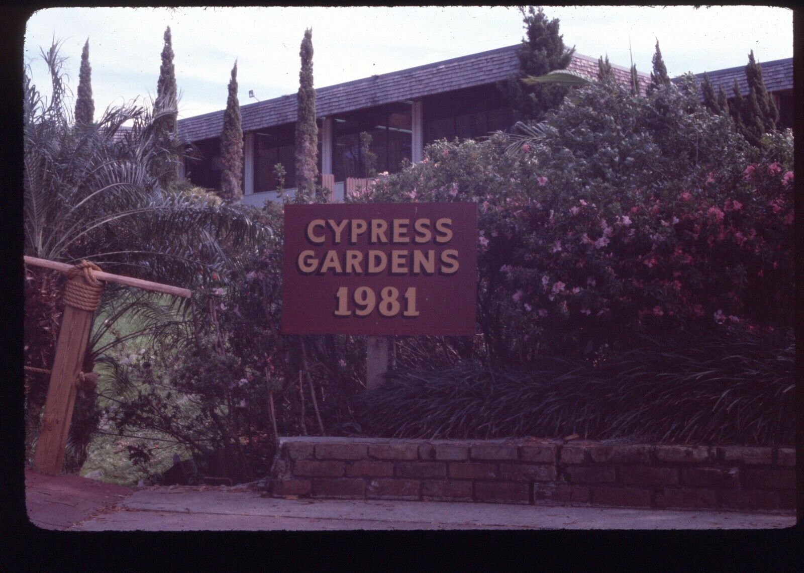 1981 Cypress Gardens Welcome Sign Winter Haven Florida FL Vintage 35mm Slide