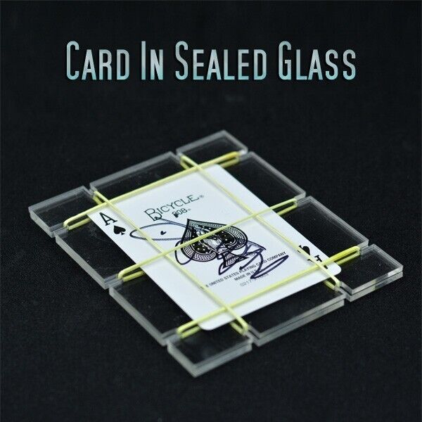 Card in Sealed Glass Signed Card Disappear Reappear in Acrylic Block Magic Trick