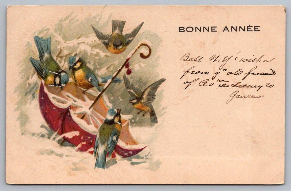 Postcard Bonne Année Happy New Year Birds and a Snowy Umbrella