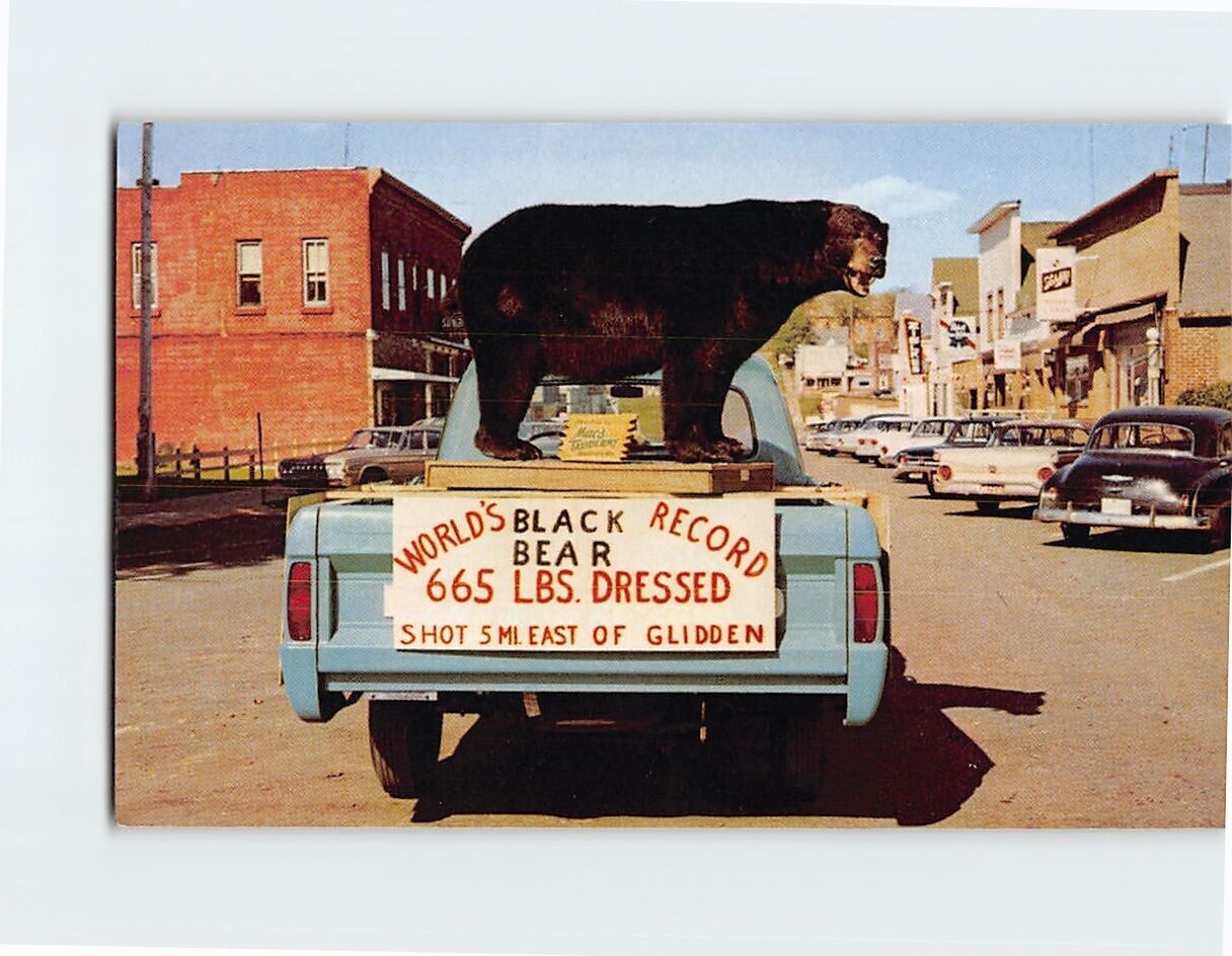Postcard World\'s Record Black Glidden Wisconsin USA