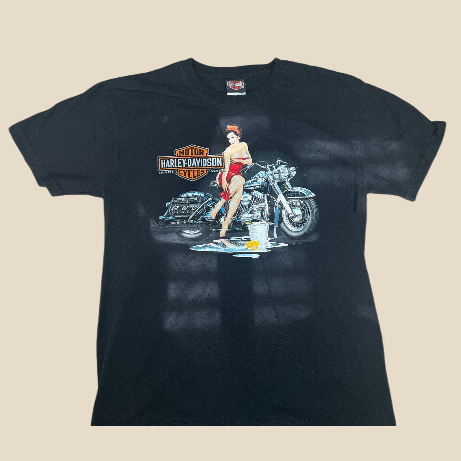 Vintage Harley Davidson “Timeless Legends” Medina Ohio Mens L Shirt
