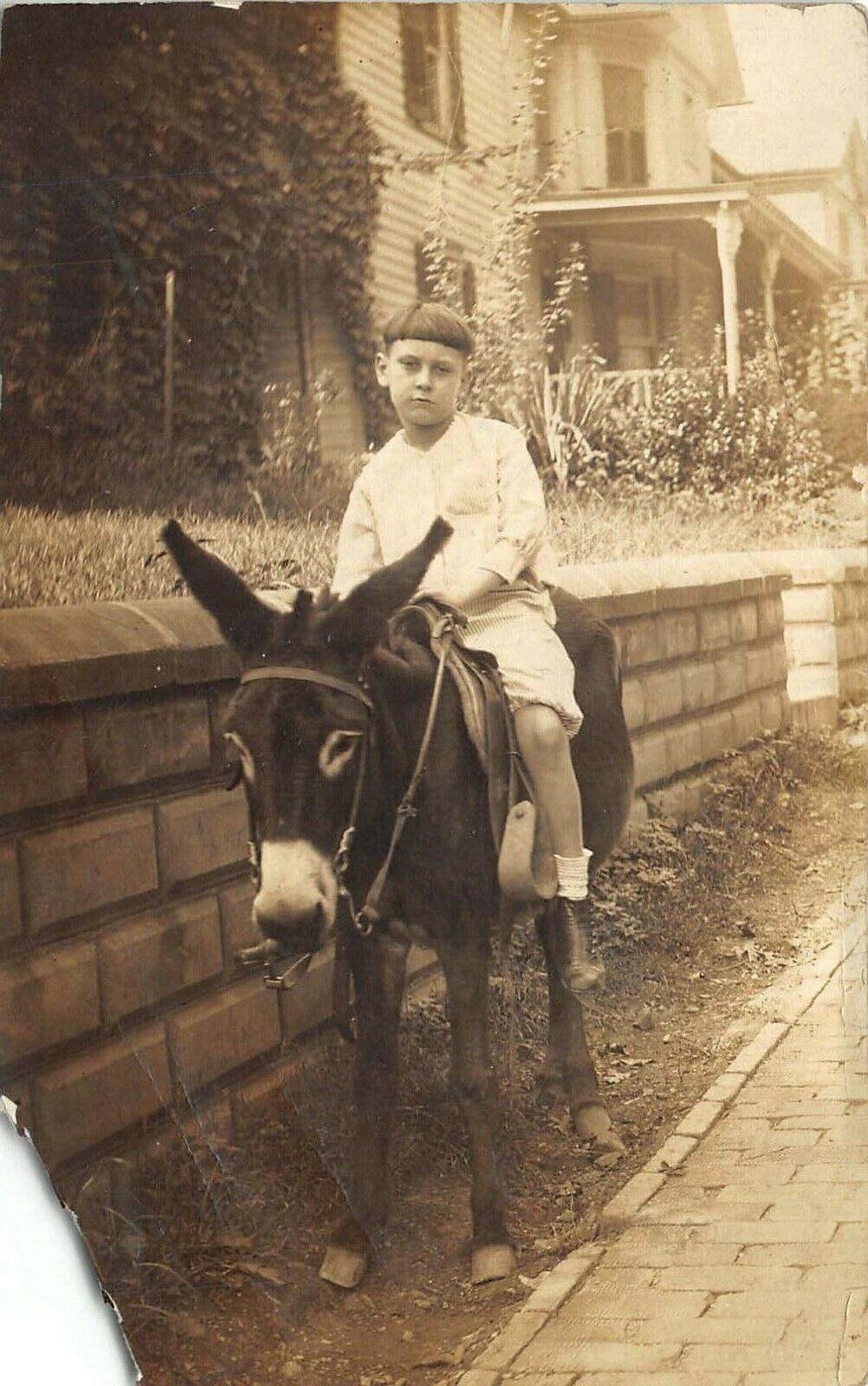 1913 RPPC Real Photo Postcard Boy Riding On Donkey 