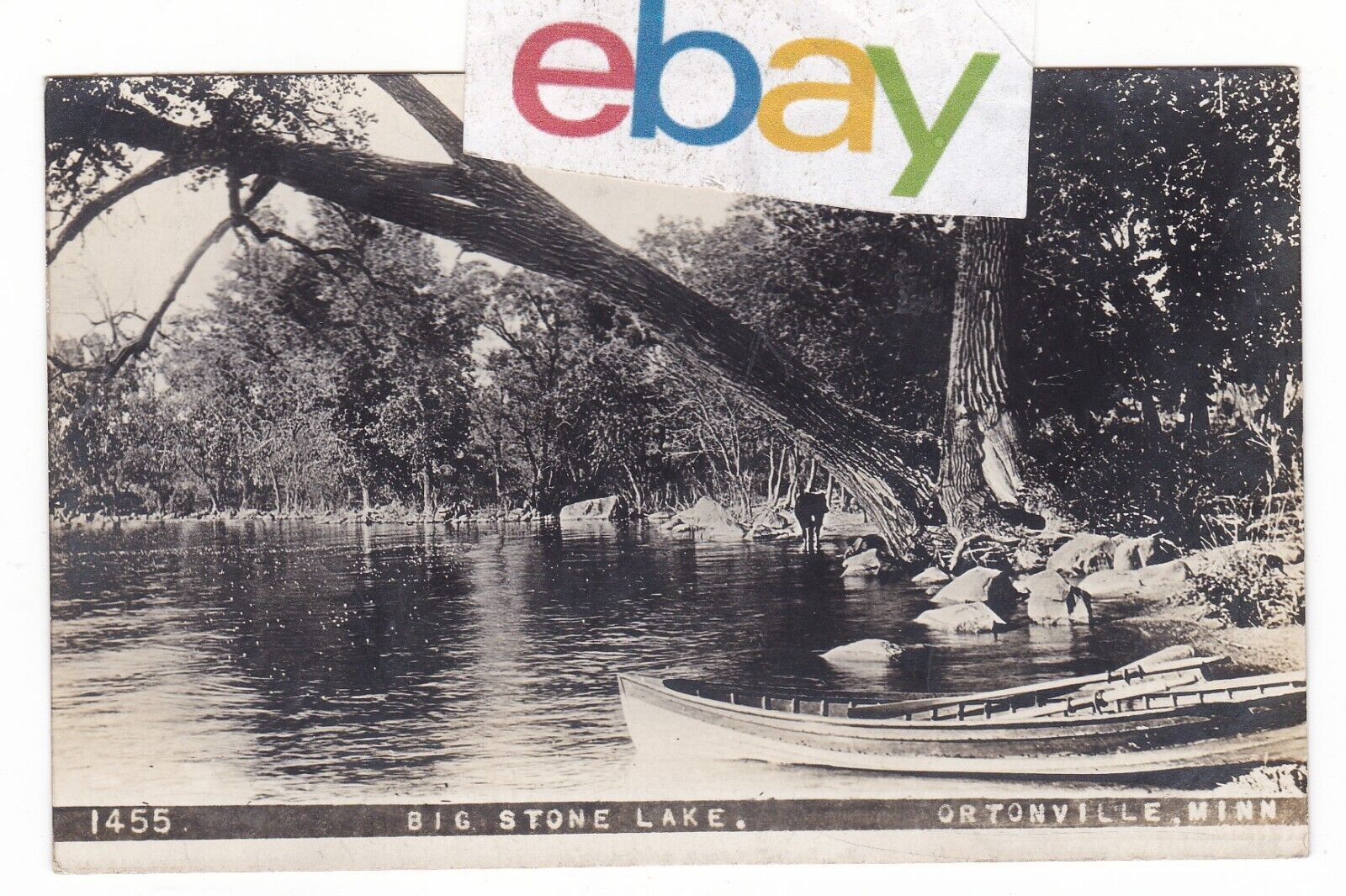 1909 OLSON RPPC ORTONVILLE MINNESOTA BIG STONE LAKE CANOES VINTAGE POSTCARD MN 
