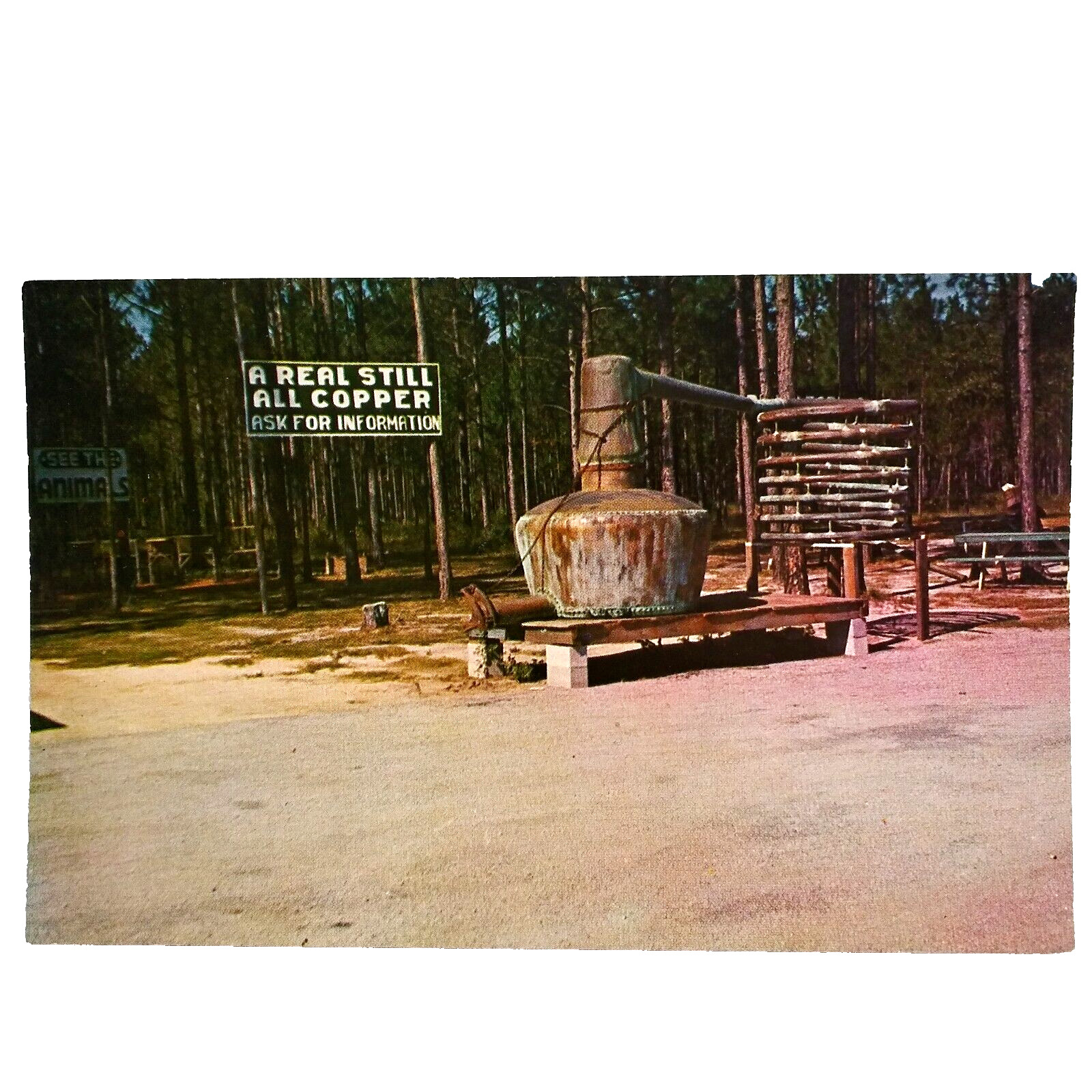 Vintage Postcard Real Copper Still U.S. Hwy 301 South of Glennville Georgia