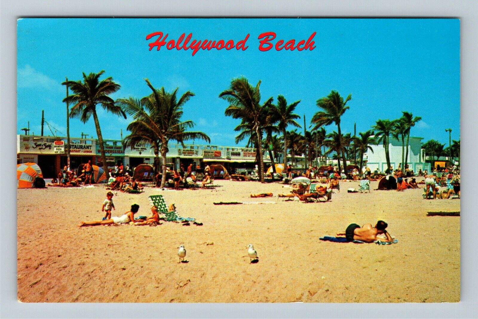 Hollywood FL-Florida, Beach & Boardwalk View Vintage Souvenir Postcard