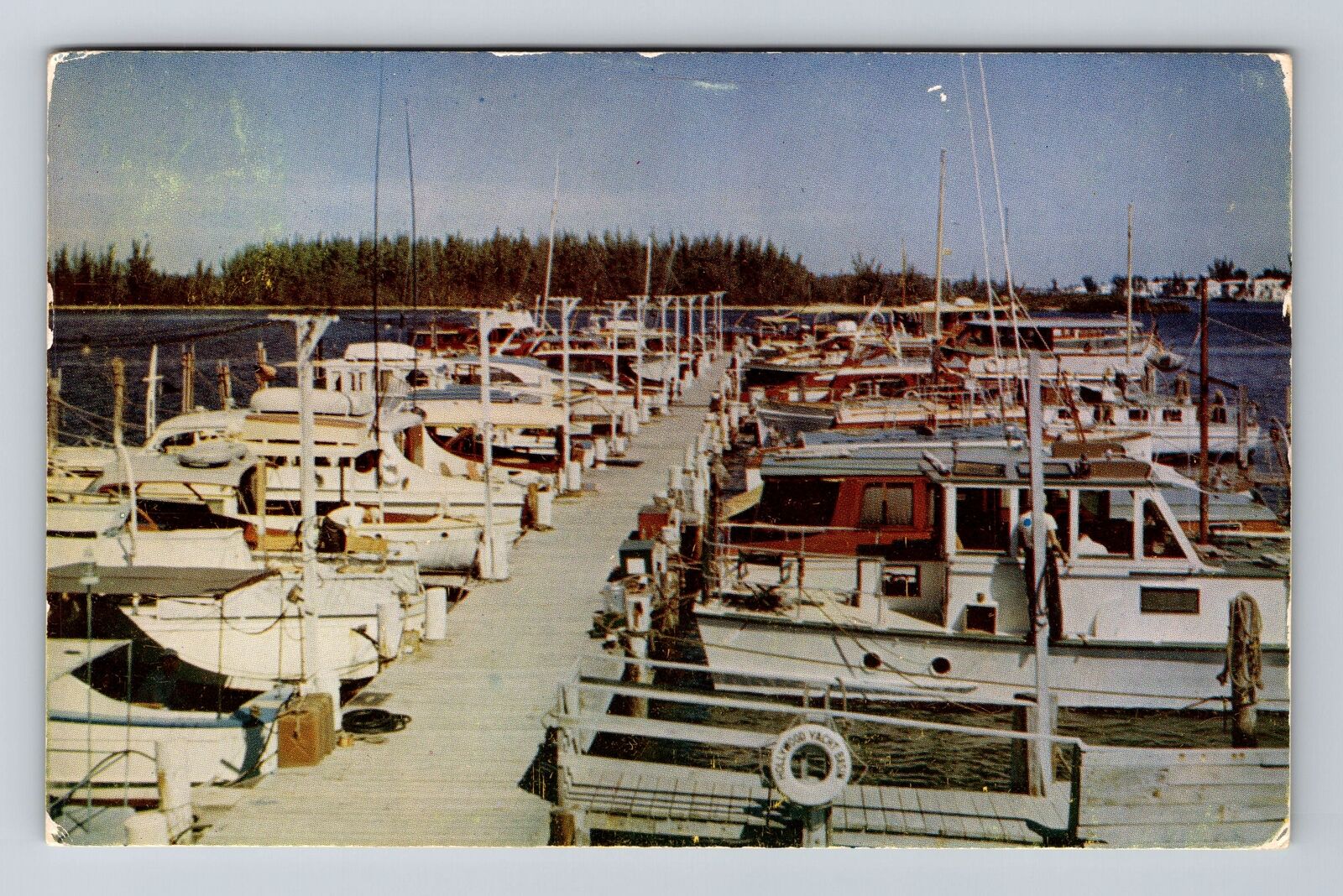 Hollywood FL-Florida, Yachts Moored Hollywood Yacht Basin, Vintage Postcard