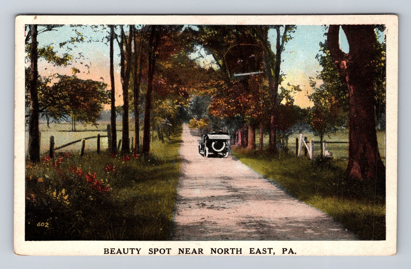 PA-Pennsylvania, Beauty Spot near North East Pennsylvania, Vintage Postcard