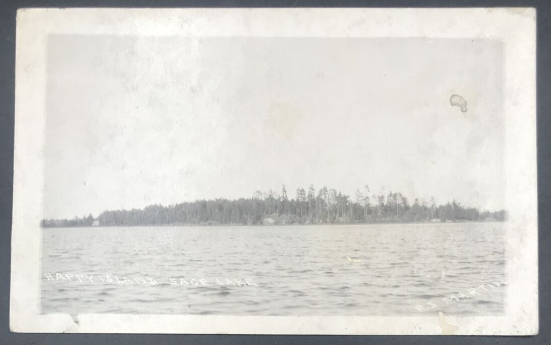 VTG 1924 RPPC Happy Island Sage Lake near Hale MI Michigan Real Photo Postcard