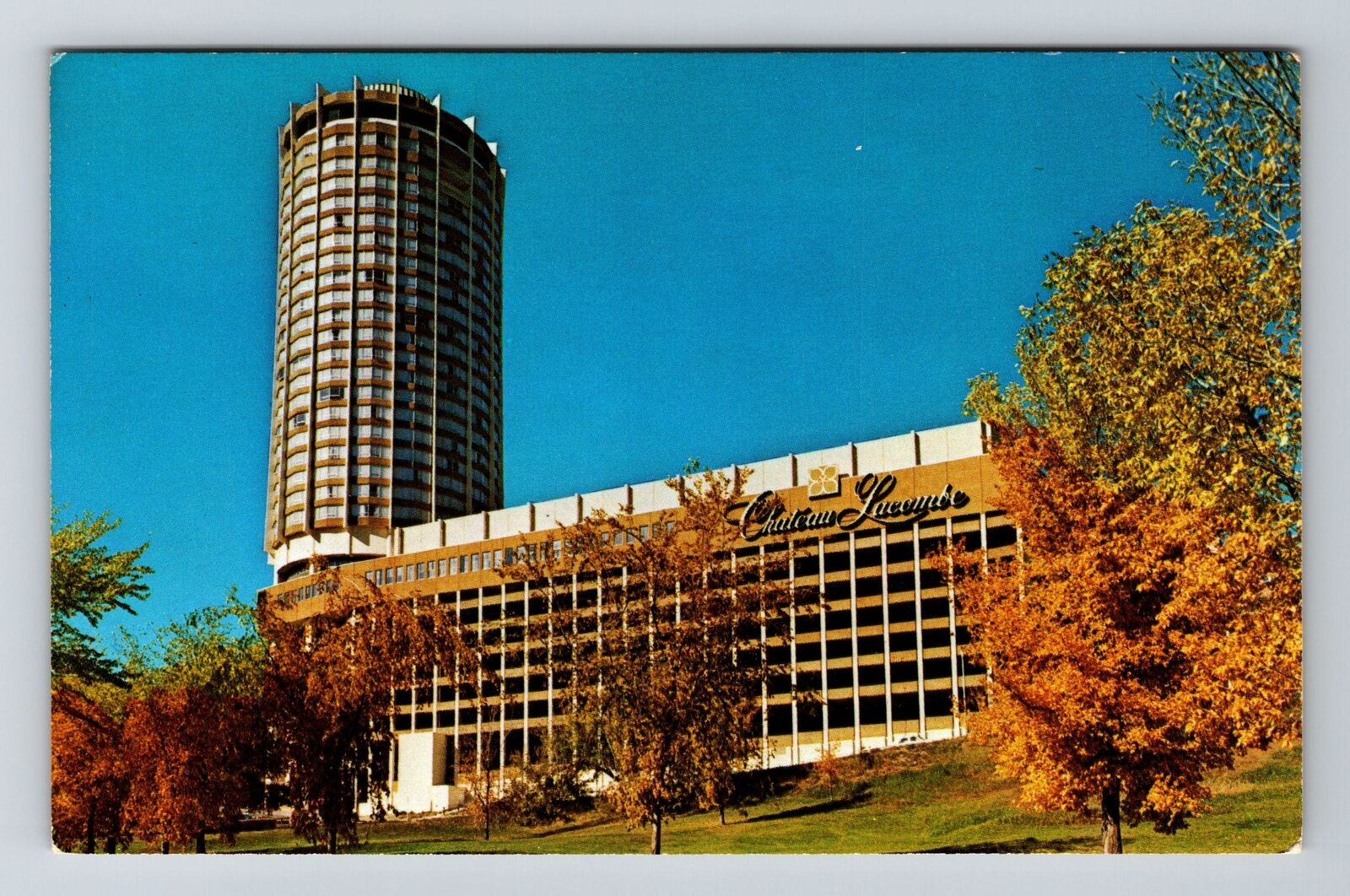 Edmonton-Alberta, Chateau Lacombe, Advertising, Vintage Postcard