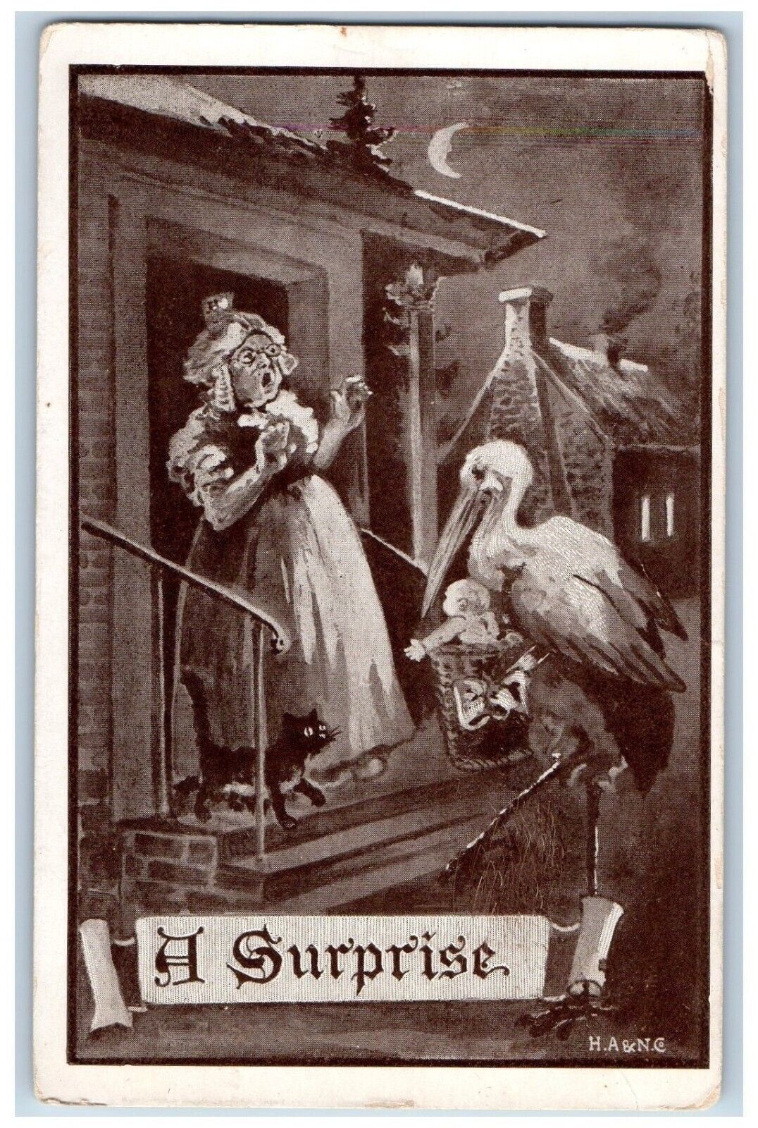 Old Lady Postcard A Surprise Stork Delivering Baby c1910's Unposted Antique