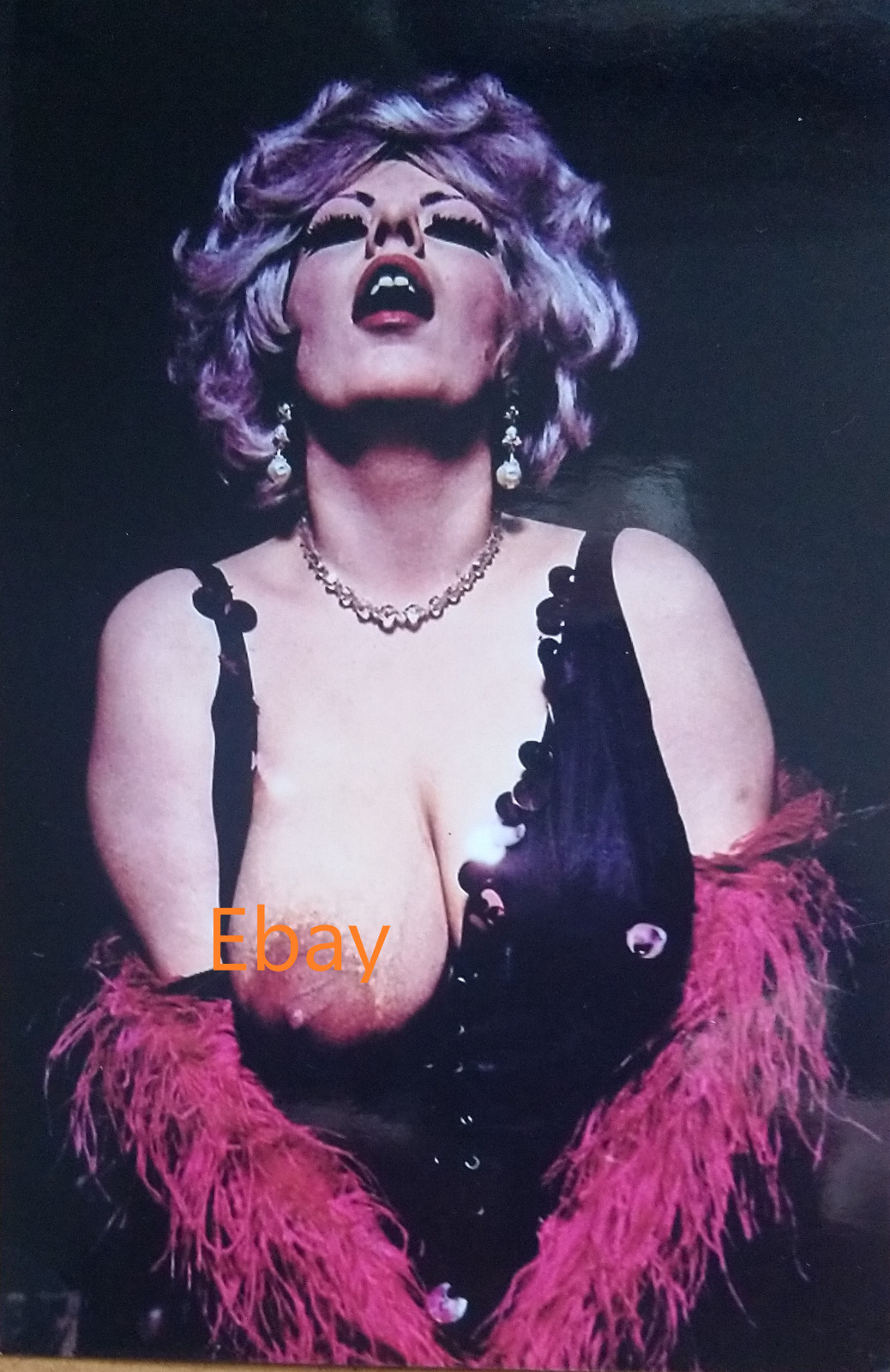 Half Topless Woman With Pink Feather Boa,  6 x 4 Inch Photograph