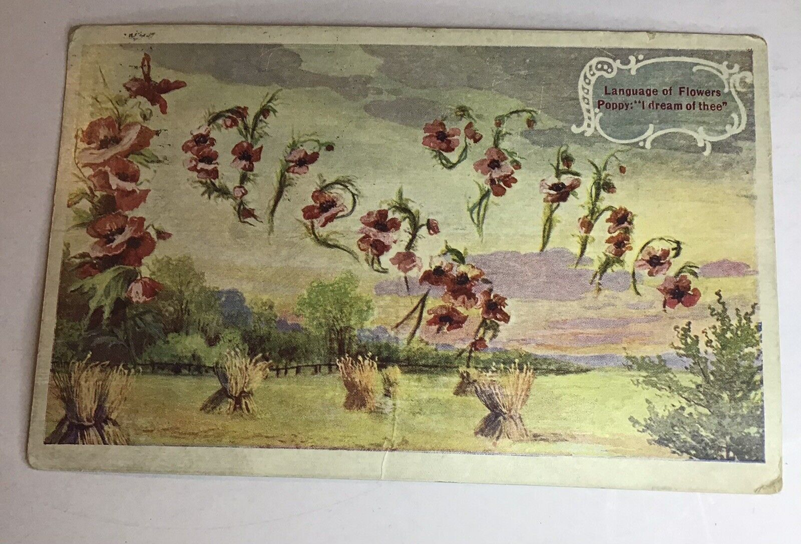 1908 Antique floral Poppies greeting postcard Post Marked Hollow Rock, TN
