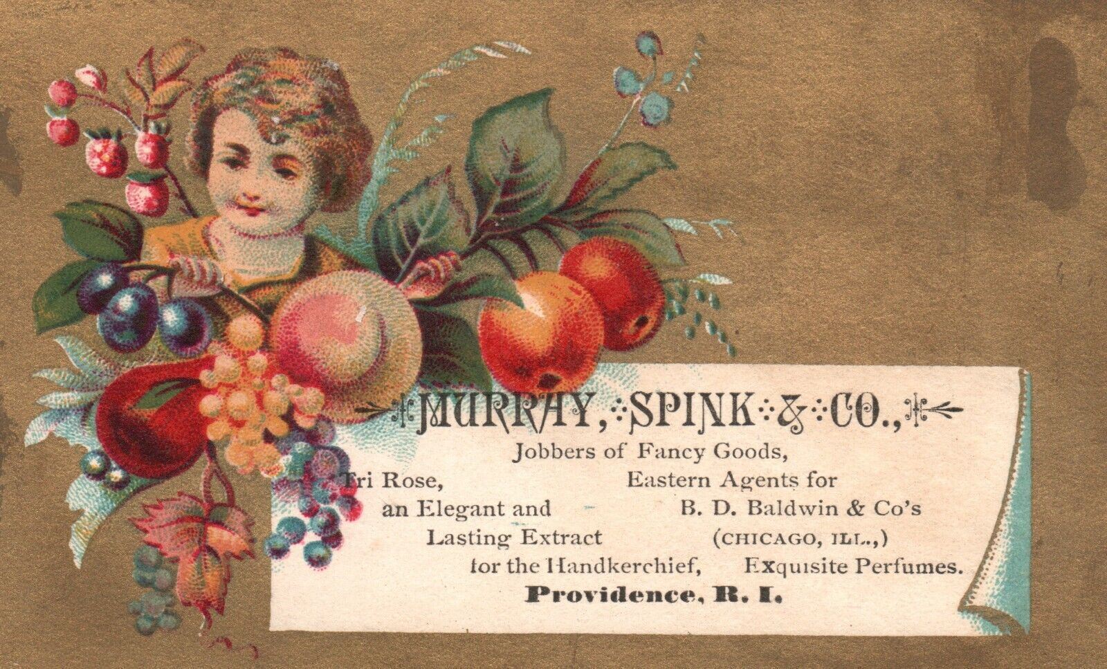 1880s-90s Girl Among Fruit Murray Spink & Co. Jobbers Fancy Goods RI Trade Card