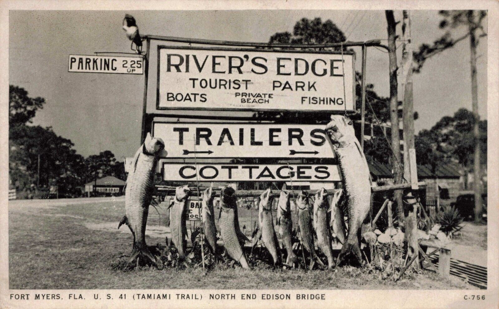 Fort Myers Florida Tamiami Trail Rivers Edge Tourist Park Fish on Sign Postcard