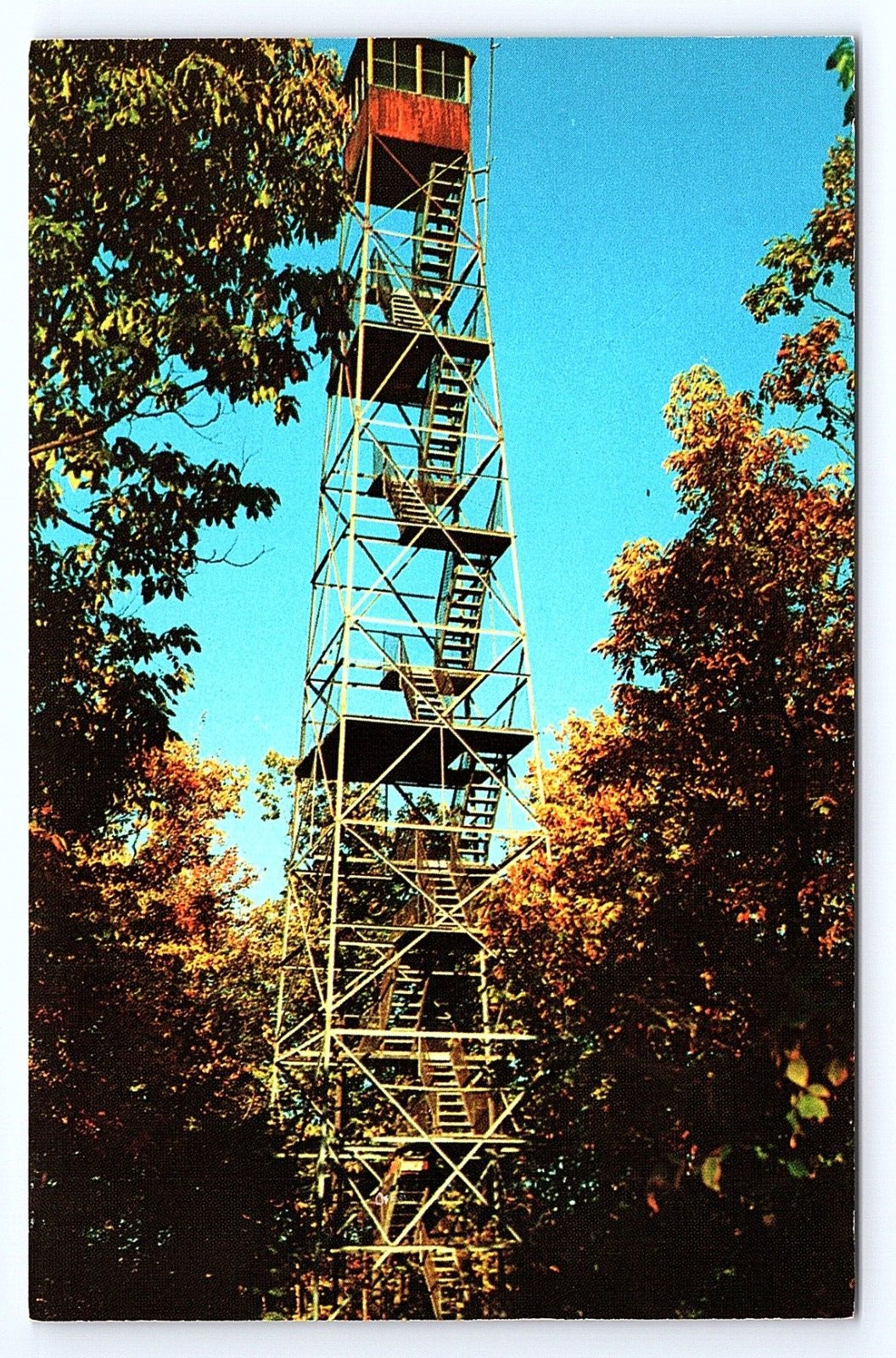 Postcard Cook Forest State Park Fire Tower on State Highway 36 Cooksburg PA